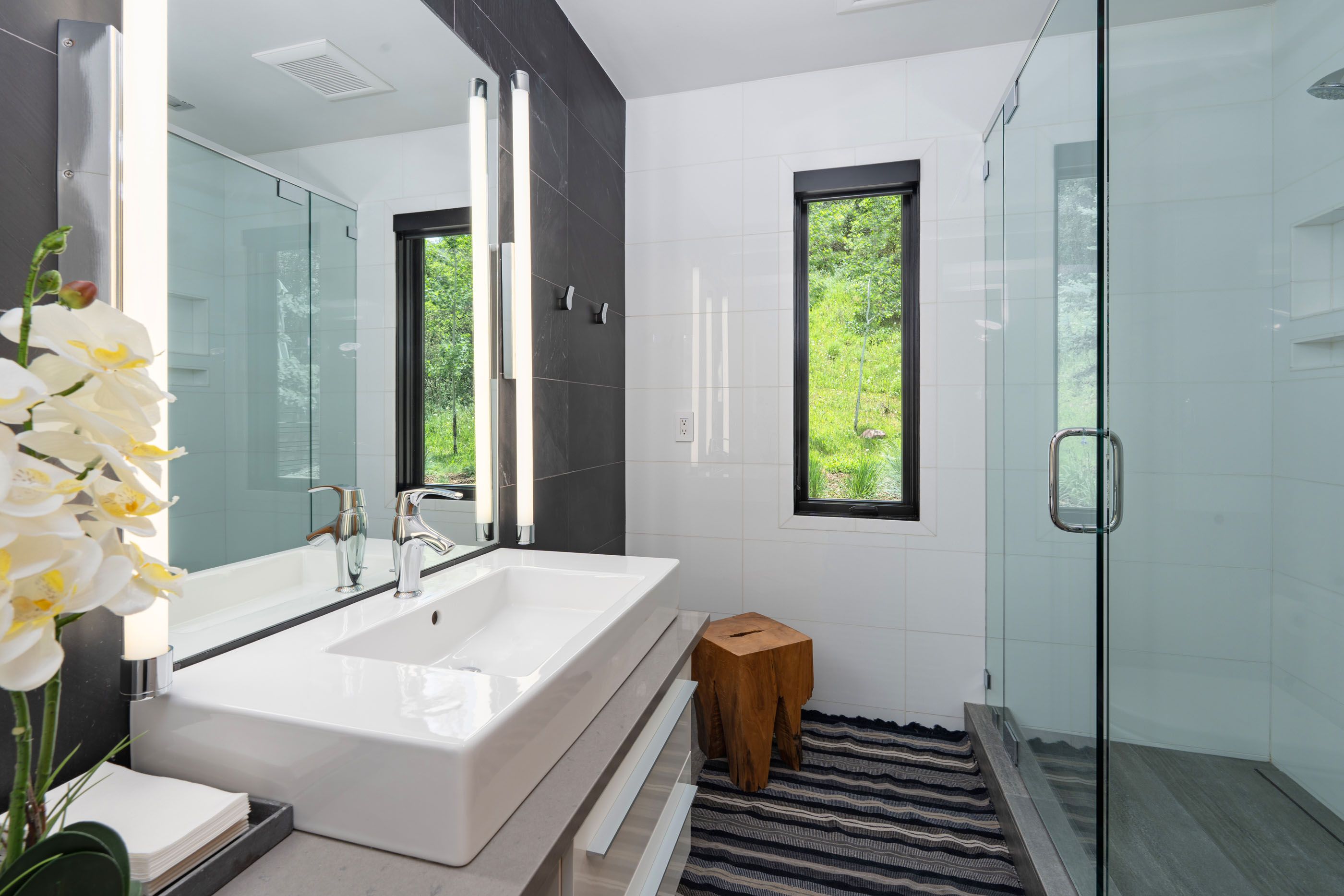  1235 Red Butte Drive, Aspen, CO 81611 - 物件實景