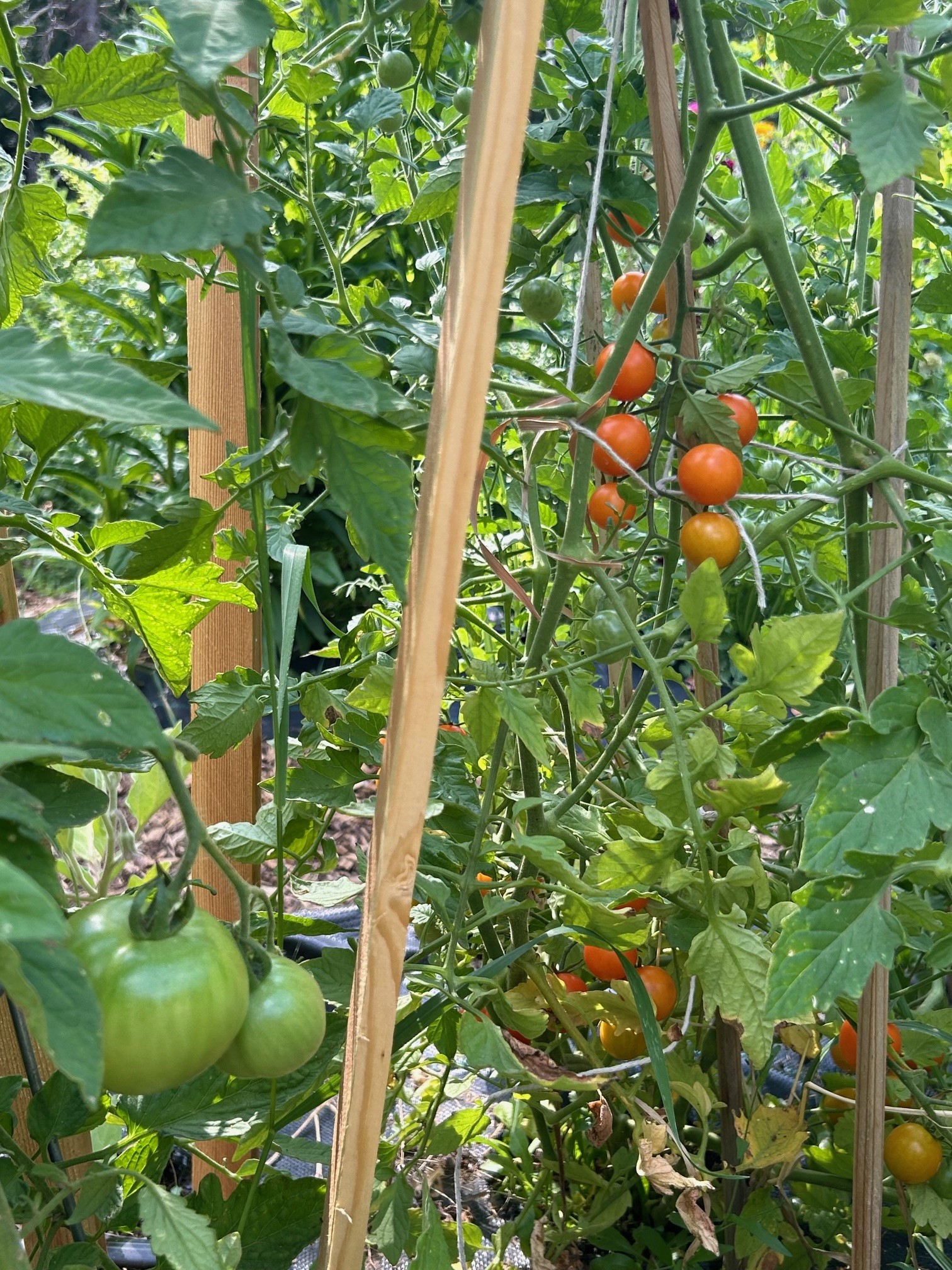 Sandpoint, Idaho, 83864, United States, 2 Bedrooms Bedrooms, ,2 BathroomsBathrooms,Residential,For Sale,2006058