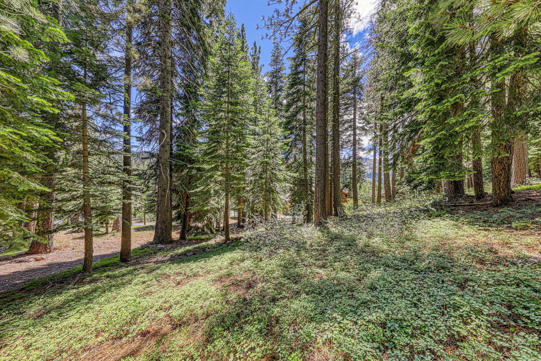  Hidden Lake - Legacy Estate Parcel - 物件實景