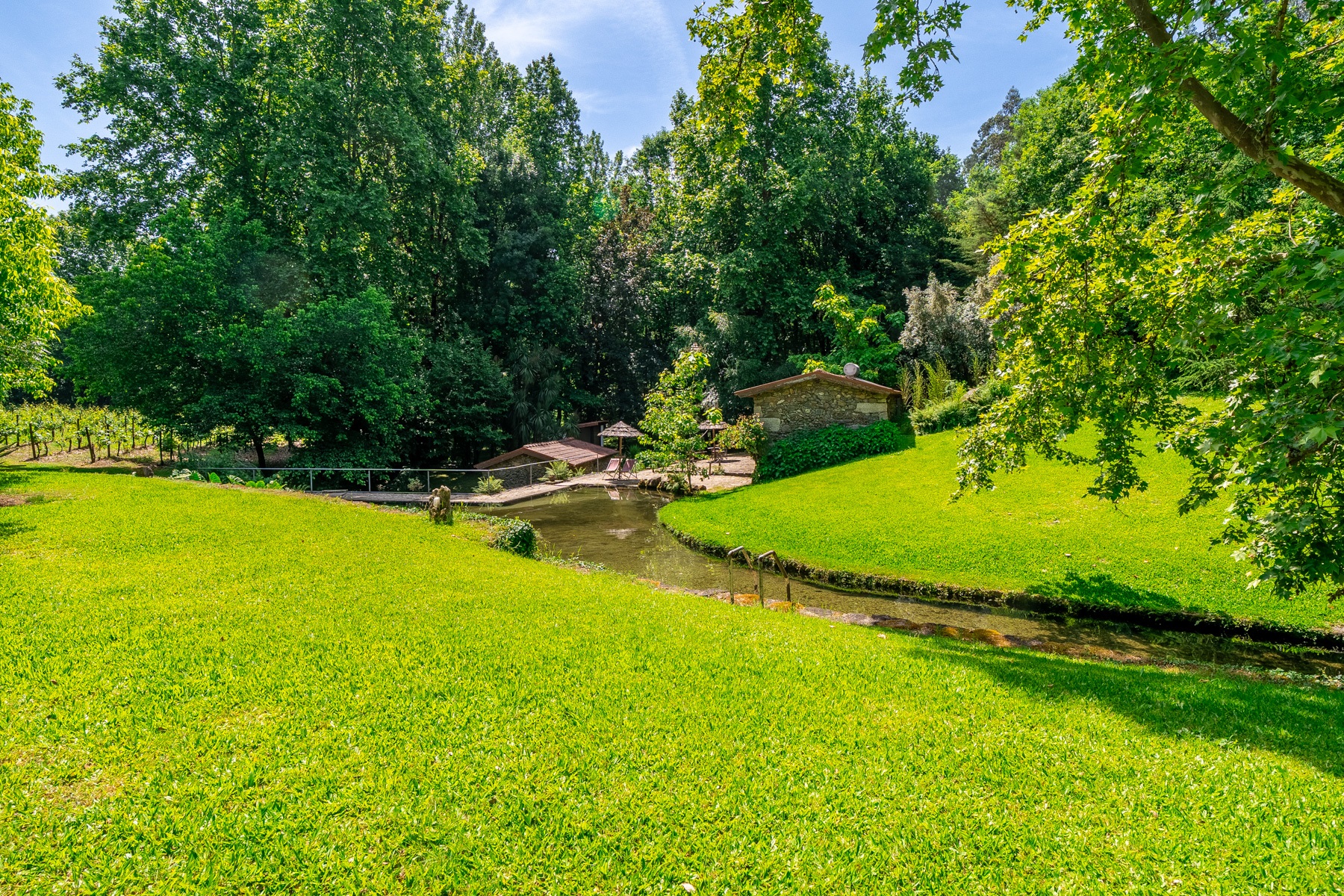  Farm, 8 bedrooms, for Sale - 物件實景