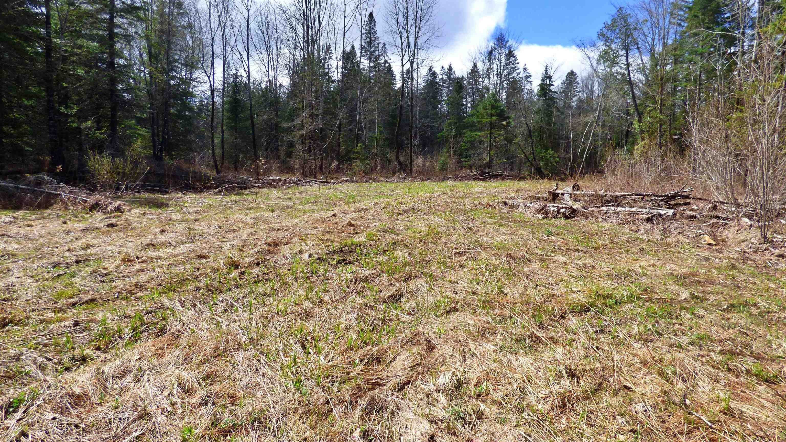 Wheelock, Vermont, 05851, United States, ,Land,For Sale,2017669