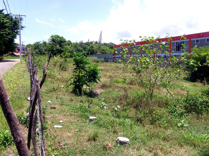 Sosua, DO, ,Land,For Sale,1626419
