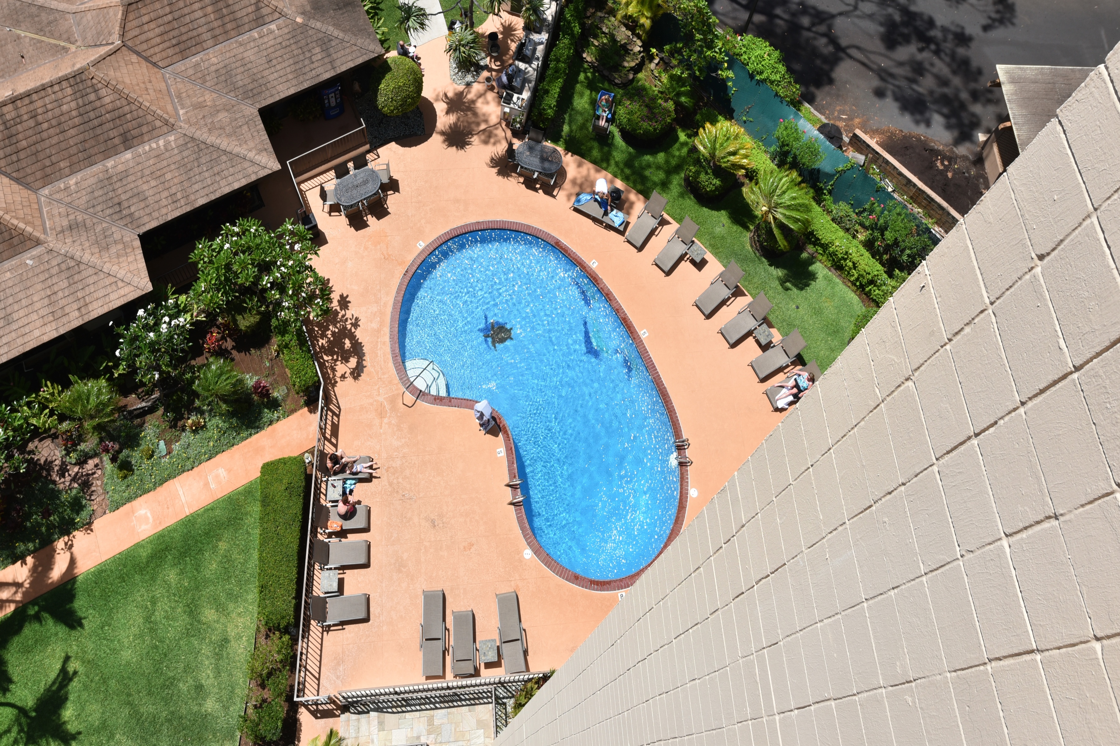  Featuring breathtaking panoramic ocean views - 物件實景