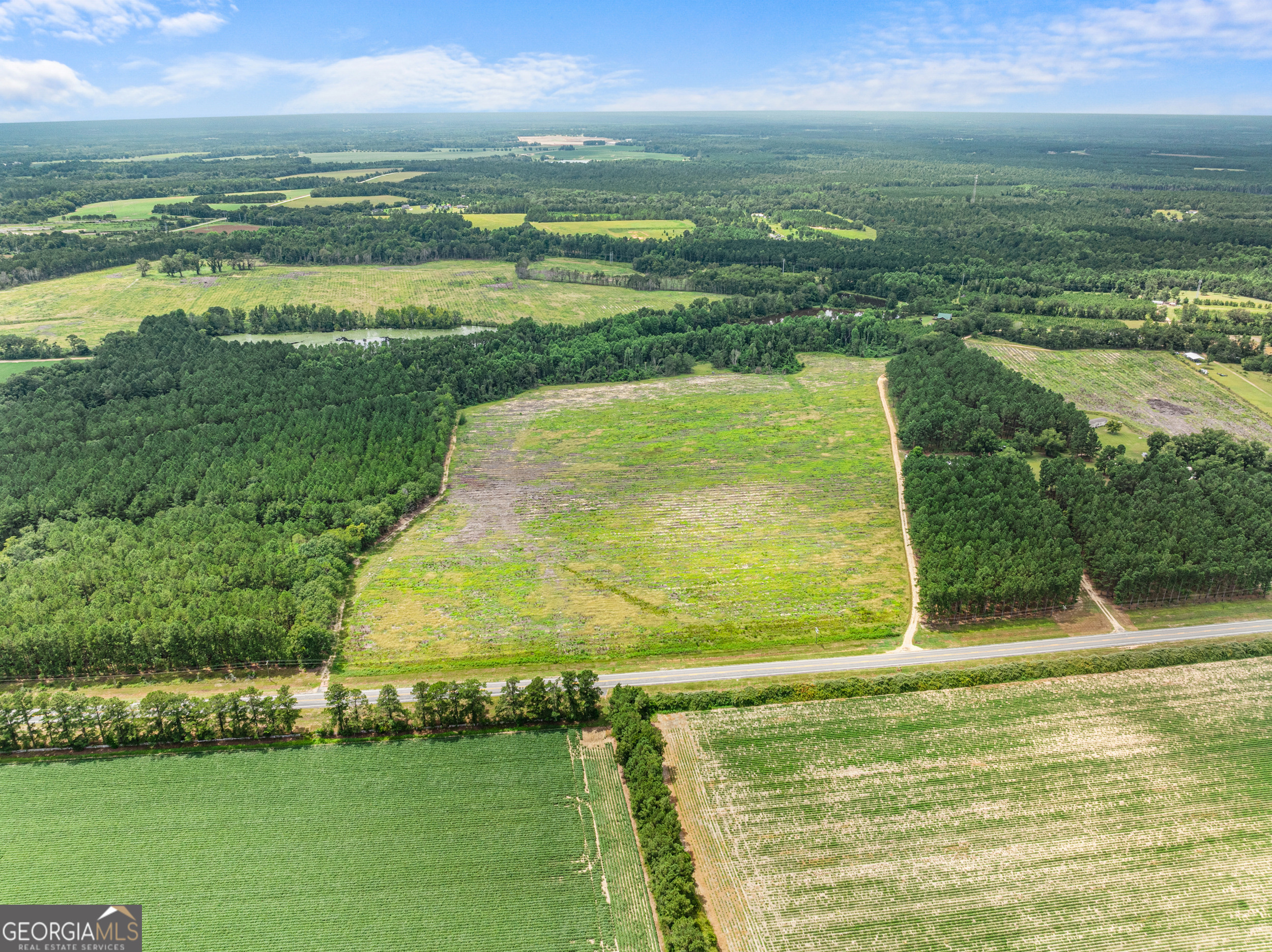 Statesboro, Georgia, 30458, United States, ,Land,For Sale,1911473