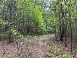 Naples, Texas, 75568, United States, ,Land,For Sale,1786234