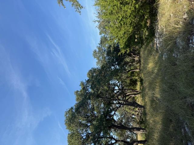 Fredericksburg, Texas, 78624, United States, 3 Bedrooms Bedrooms, ,2 BathroomsBathrooms,Residential,For Sale,1984349