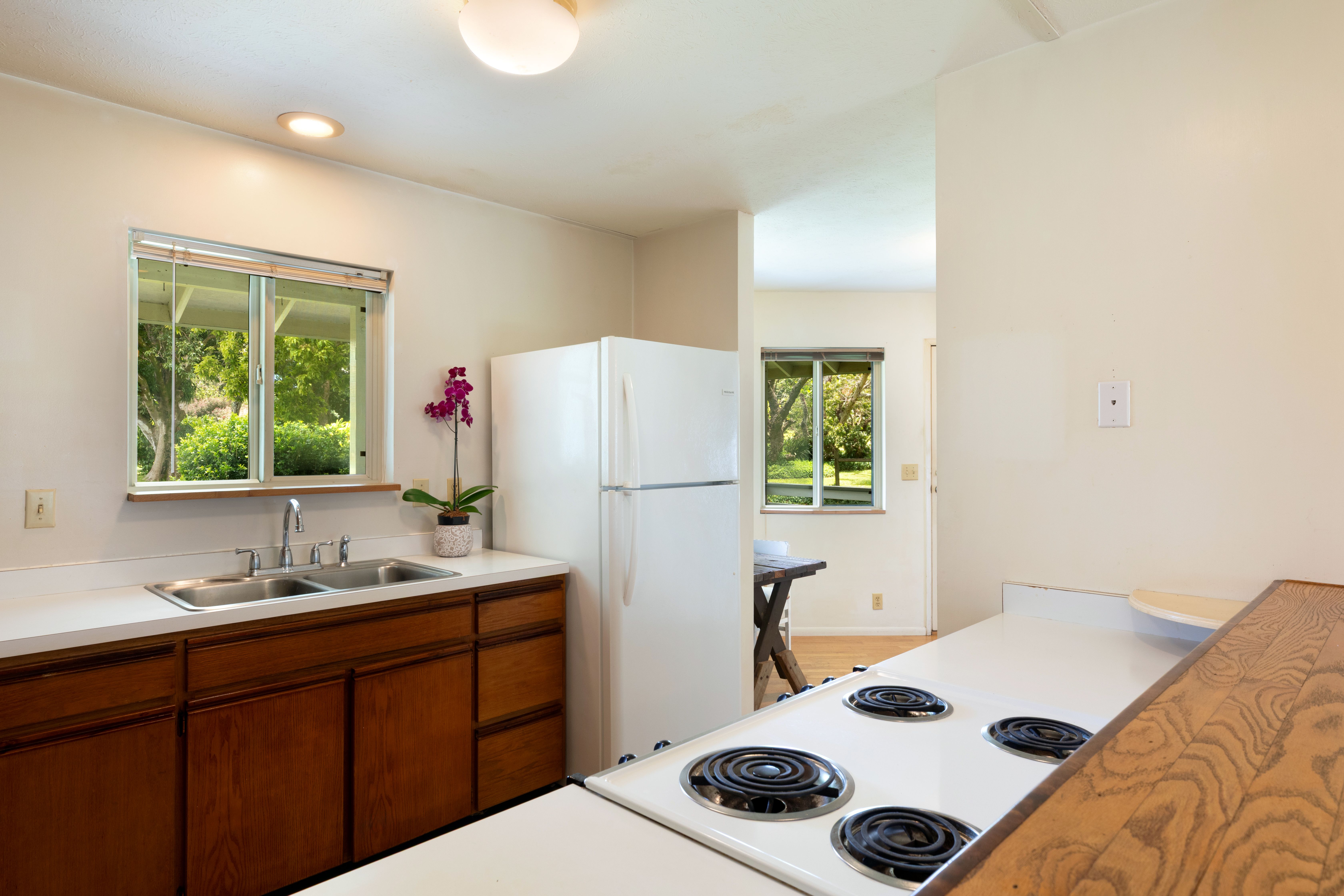  55-508 Ilina Rd, Hawi, HI, 96719 - 物件實景