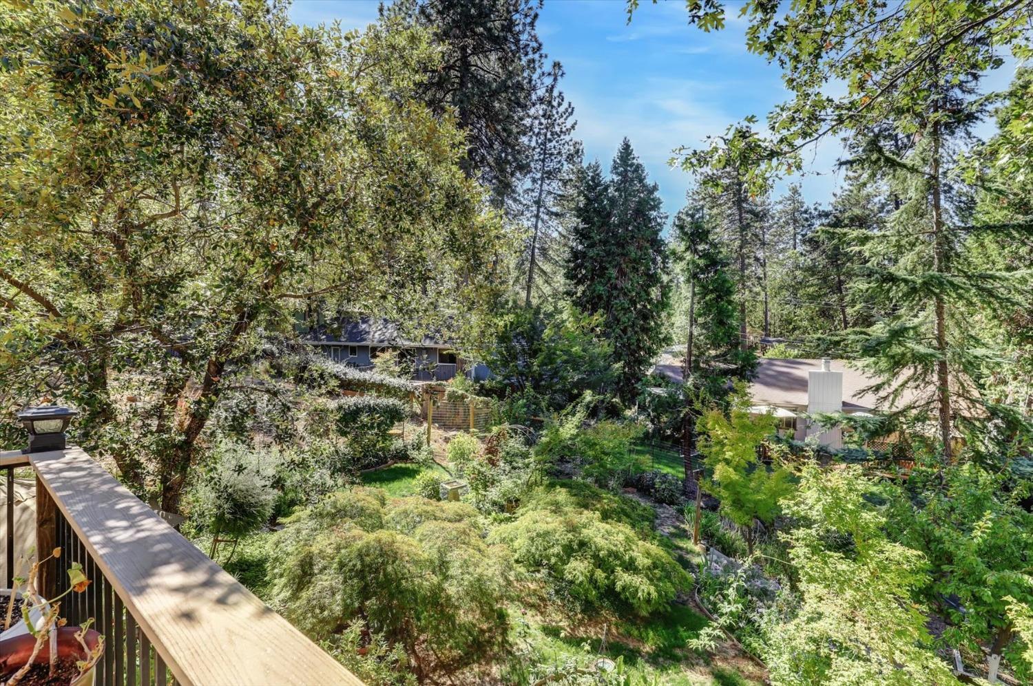 12252 Francis Drive, Grass Valley, California, 95949, United States, 3 Bedrooms Bedrooms, ,2 BathroomsBathrooms,Residential,For Sale,12252 Francis Drive,1631801