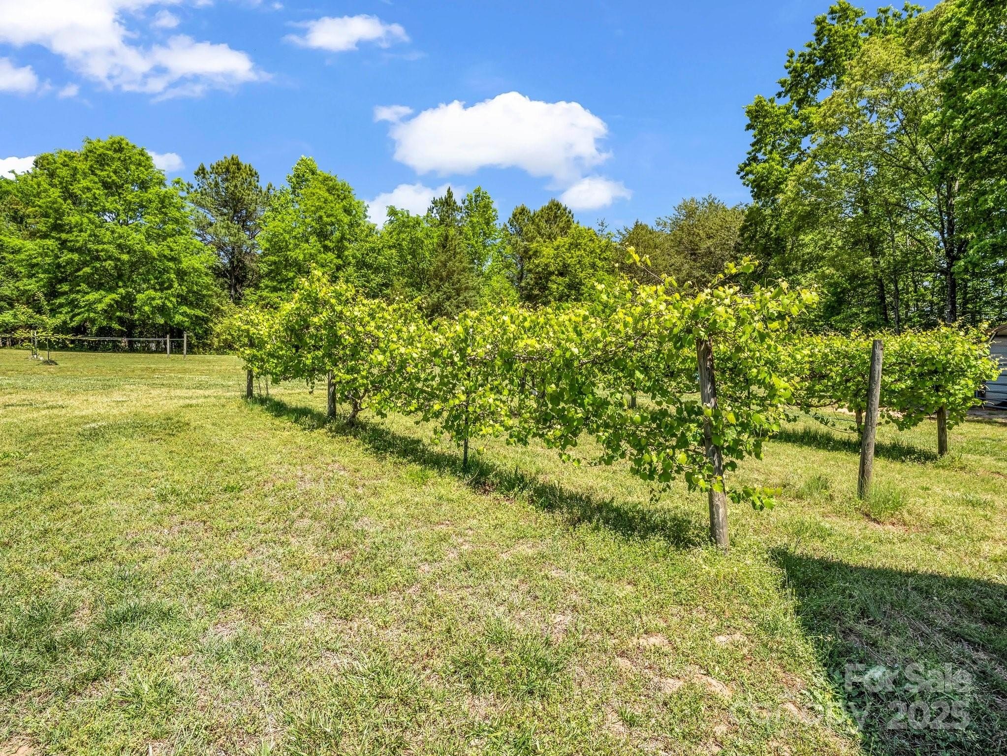 Iron Station, North Carolina, 28080, United States, 3 Bedrooms Bedrooms, ,3 BathroomsBathrooms,Residential,For Sale,1920922