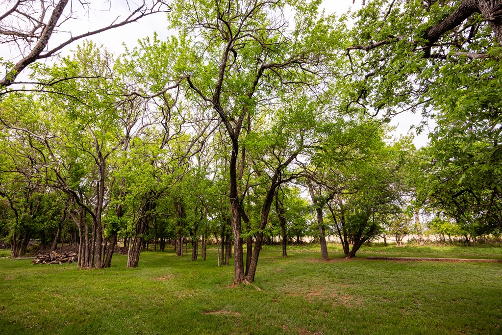 Fredericksburg, Texas, 78624, United States, 3 Bedrooms Bedrooms, ,2 BathroomsBathrooms,Residential,For Sale,1977273