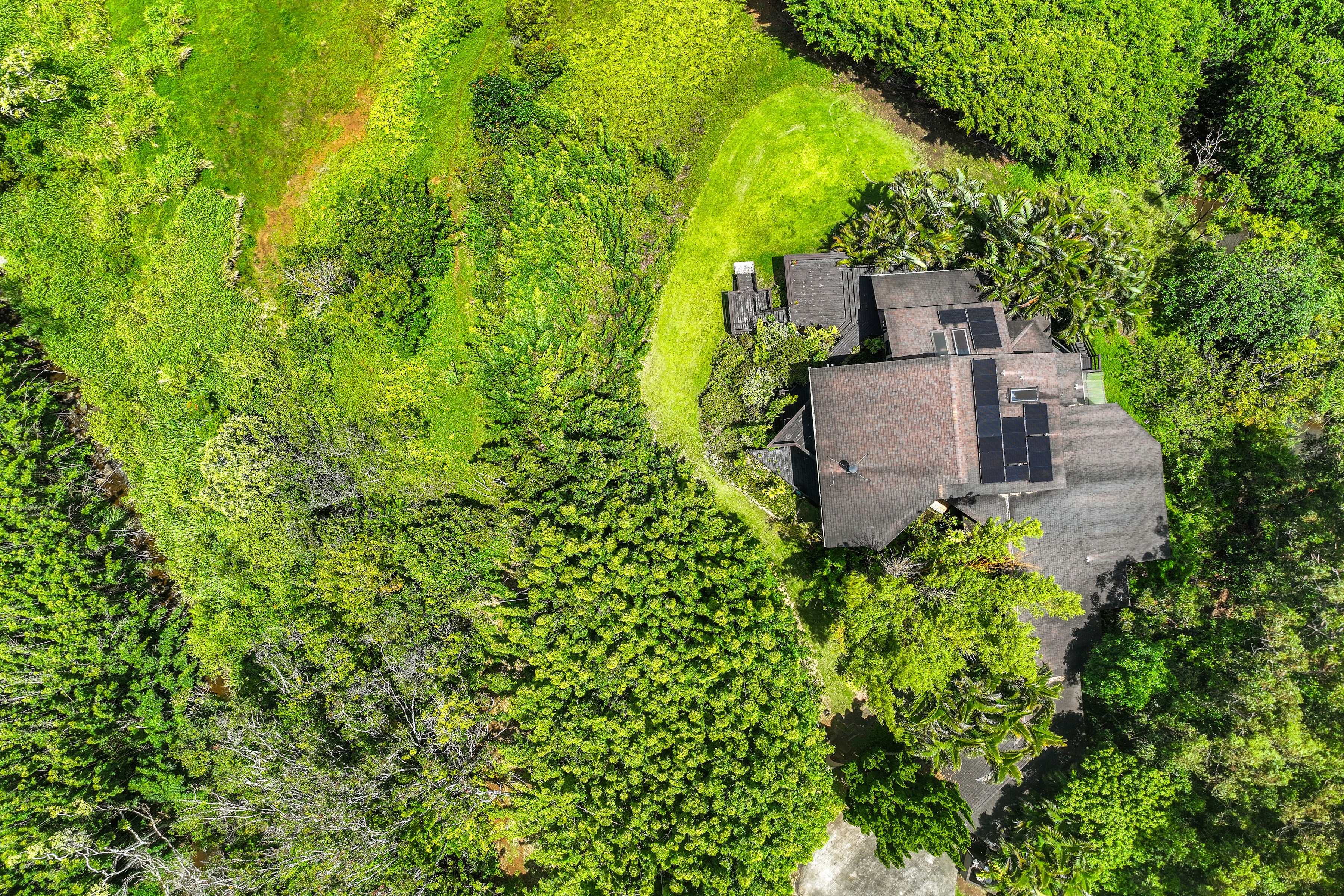  Architectural Haiku Retreat on Nearly 10 Private Acres - 物件實景