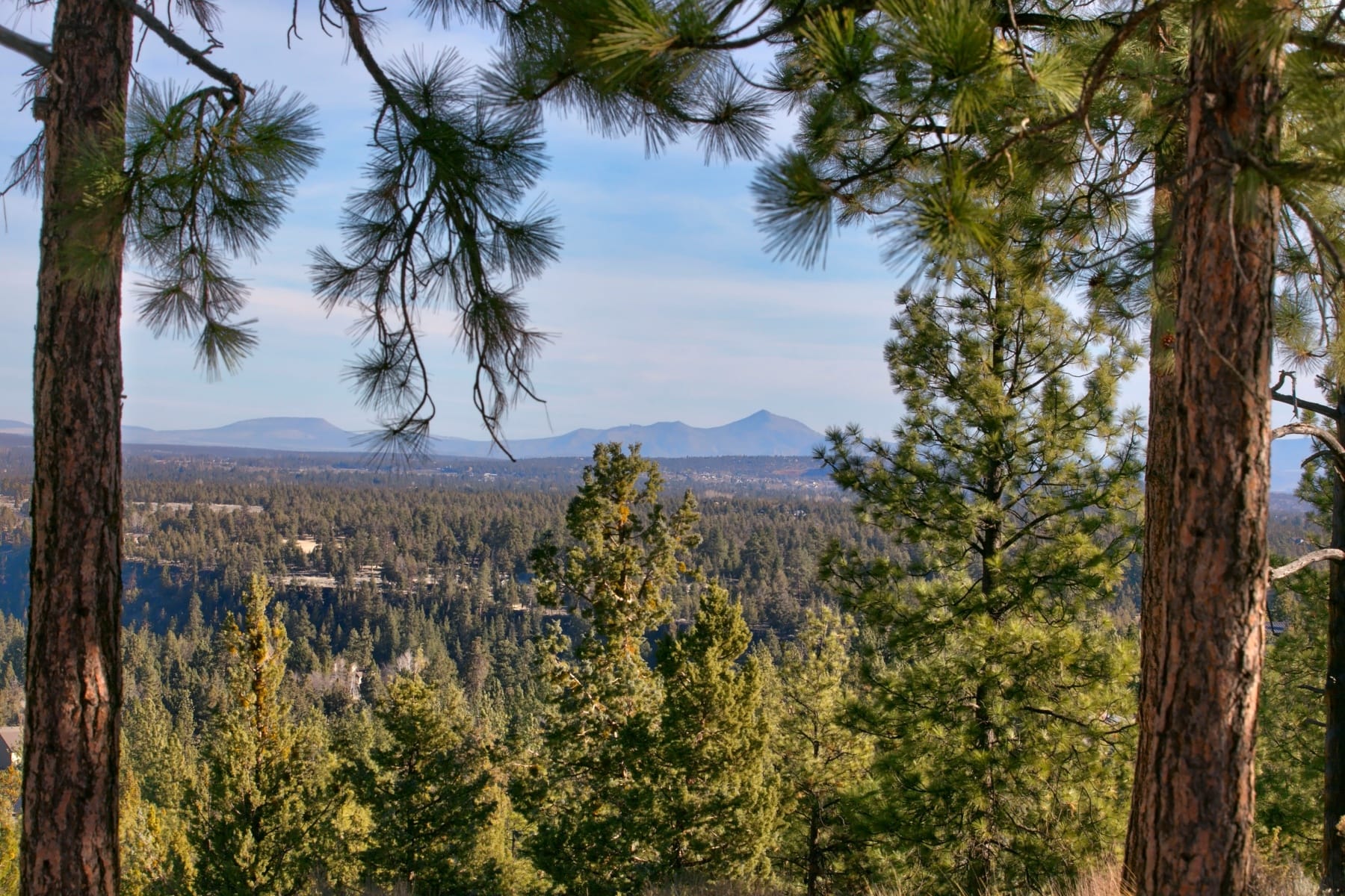  3380 NW Greenleaf Way Bend, OR 97703 - 物件實景