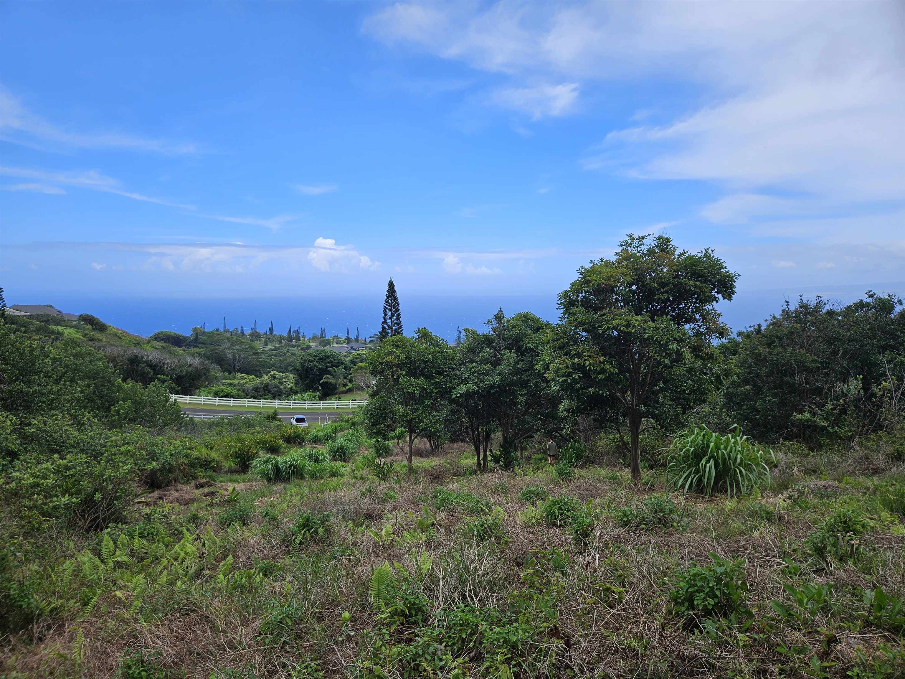 63 Lahaole Pl, Wailuku, Hawaii, 96793, United States, ,Land,For Sale,63 Lahaole Pl,1676772