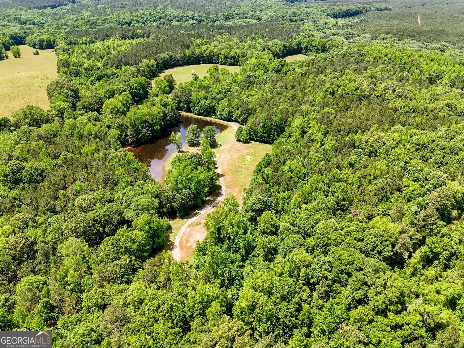 Molena, Georgia, 30258, United States, ,Residential,For Sale,1894601