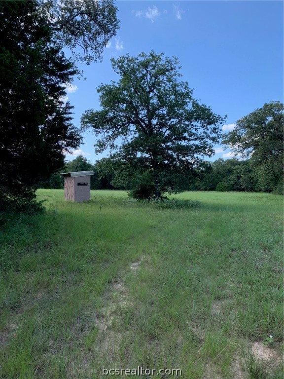 5632 County Road 317, Caldwell, Texas, 77836, United States, ,Land,For Sale,5632 County Road 317,1609859