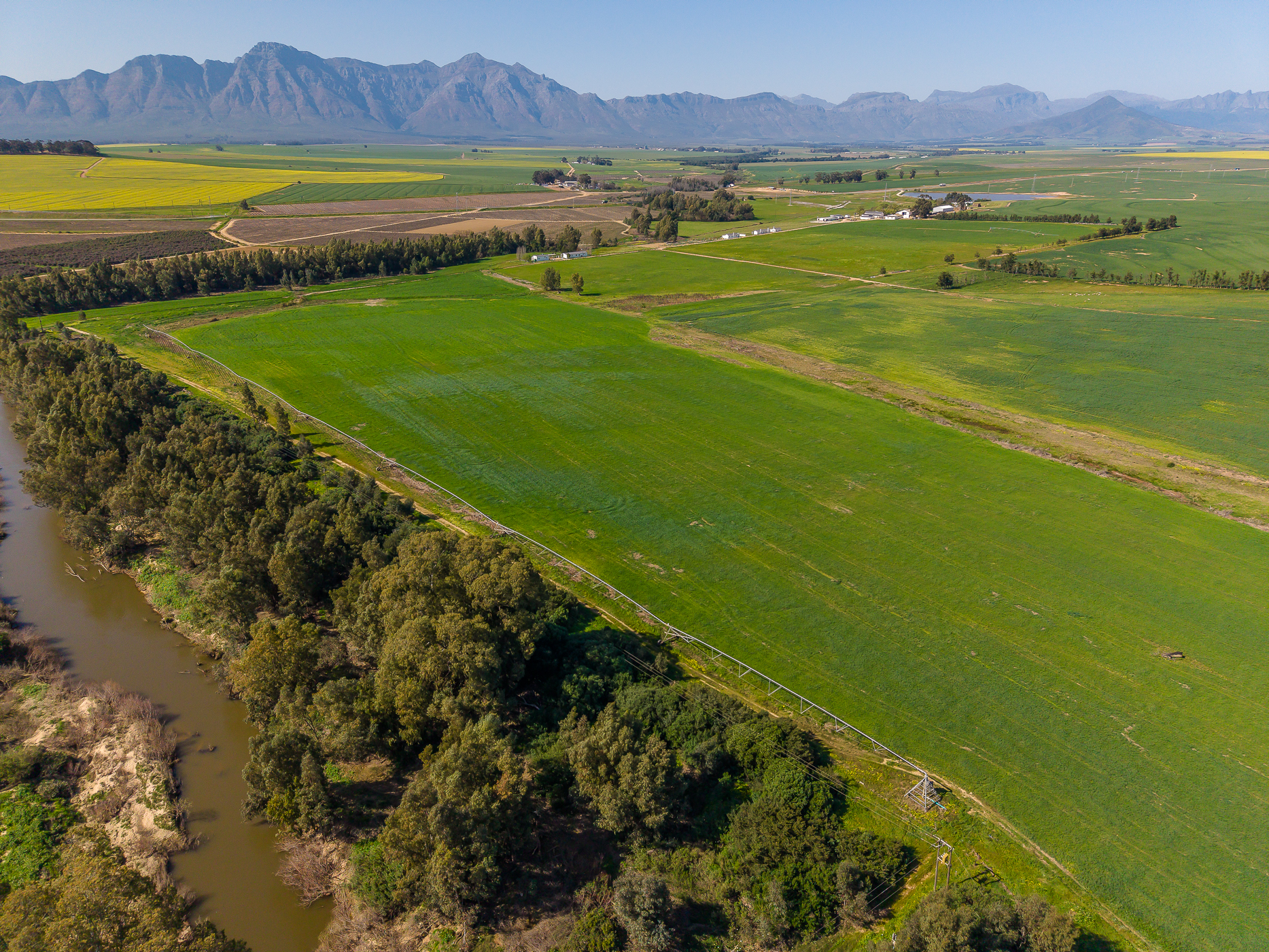  123-Hectare Irrigated Farm on the banks of the Berg River - 物件實景
