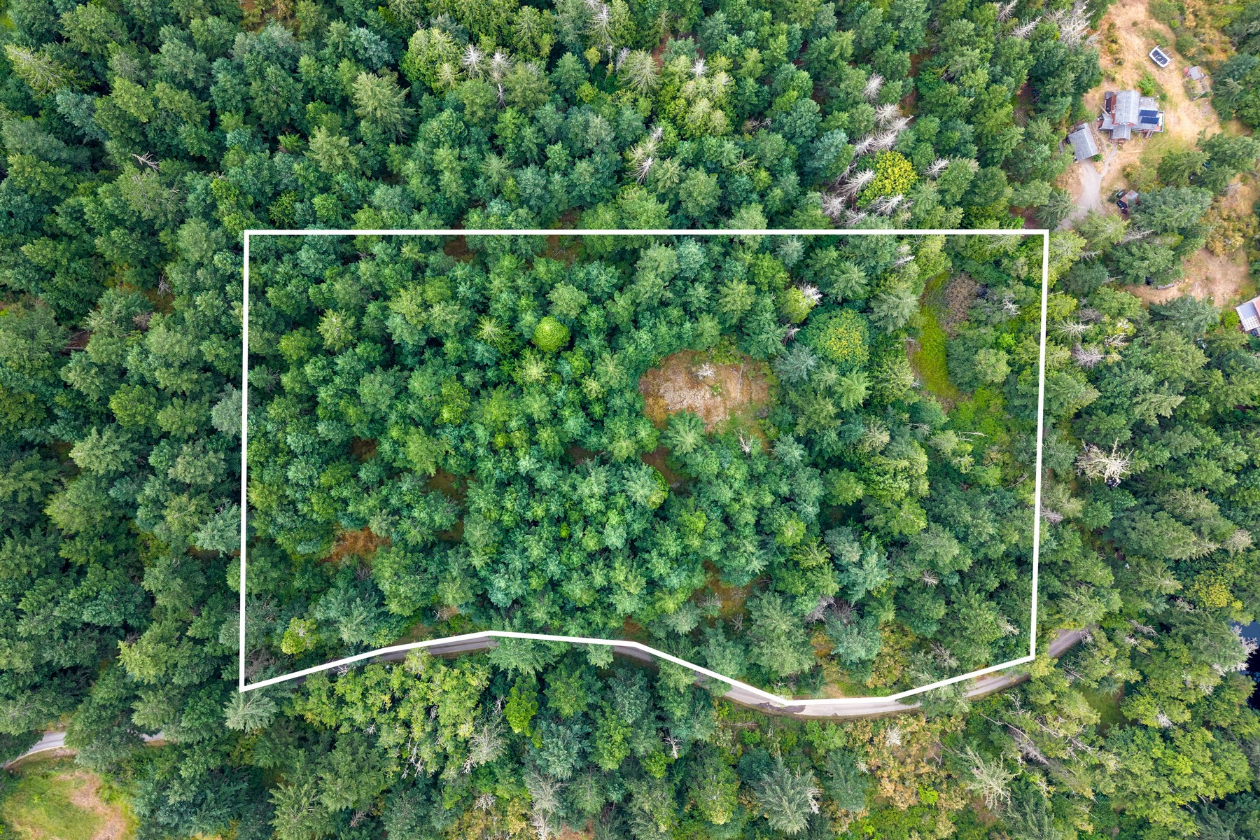 Hilltop Forest Retreat - 物件實景