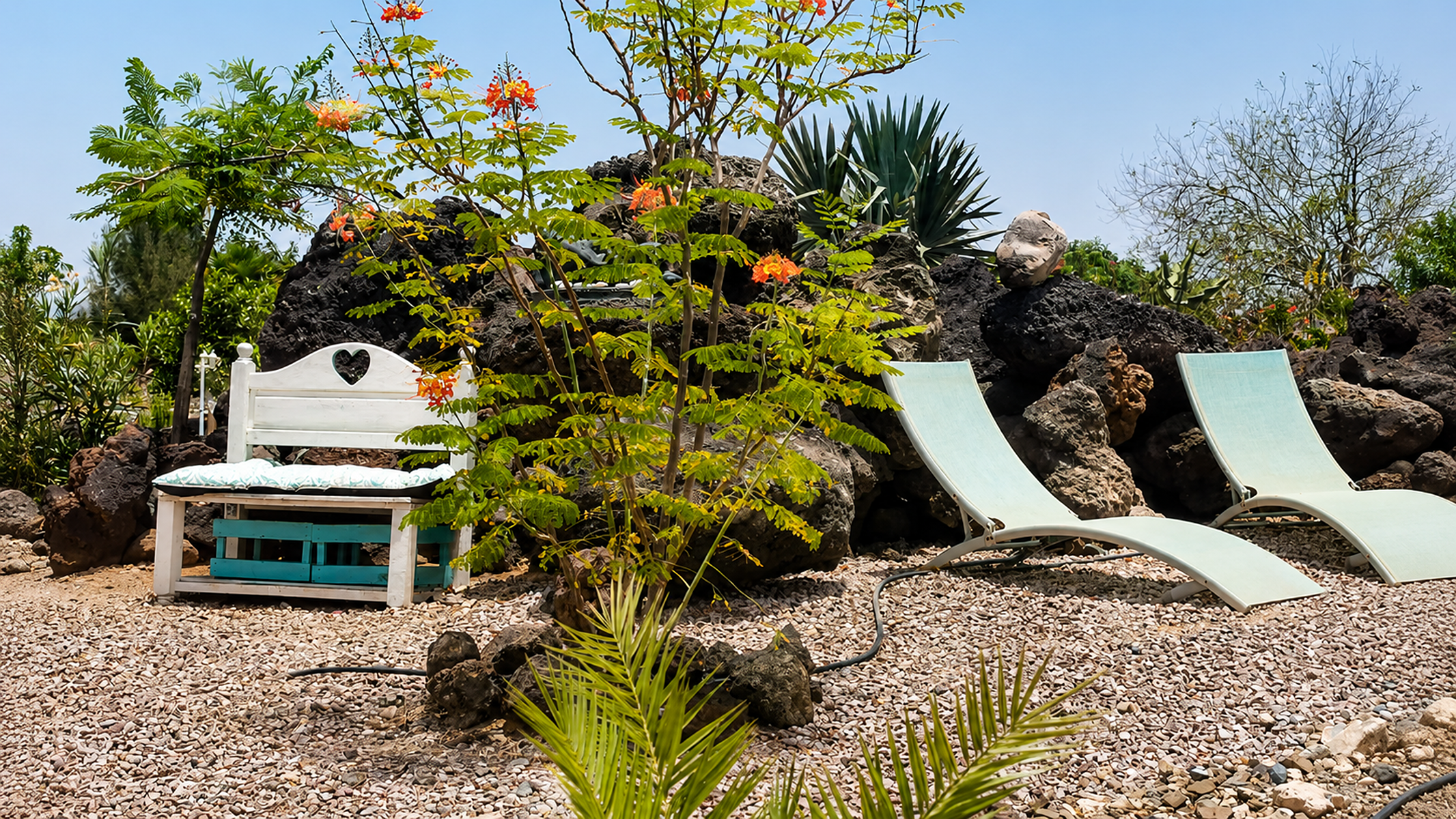  Retirement and Wellness Property in Tarajalejo, Fuerteventura - 物件實景