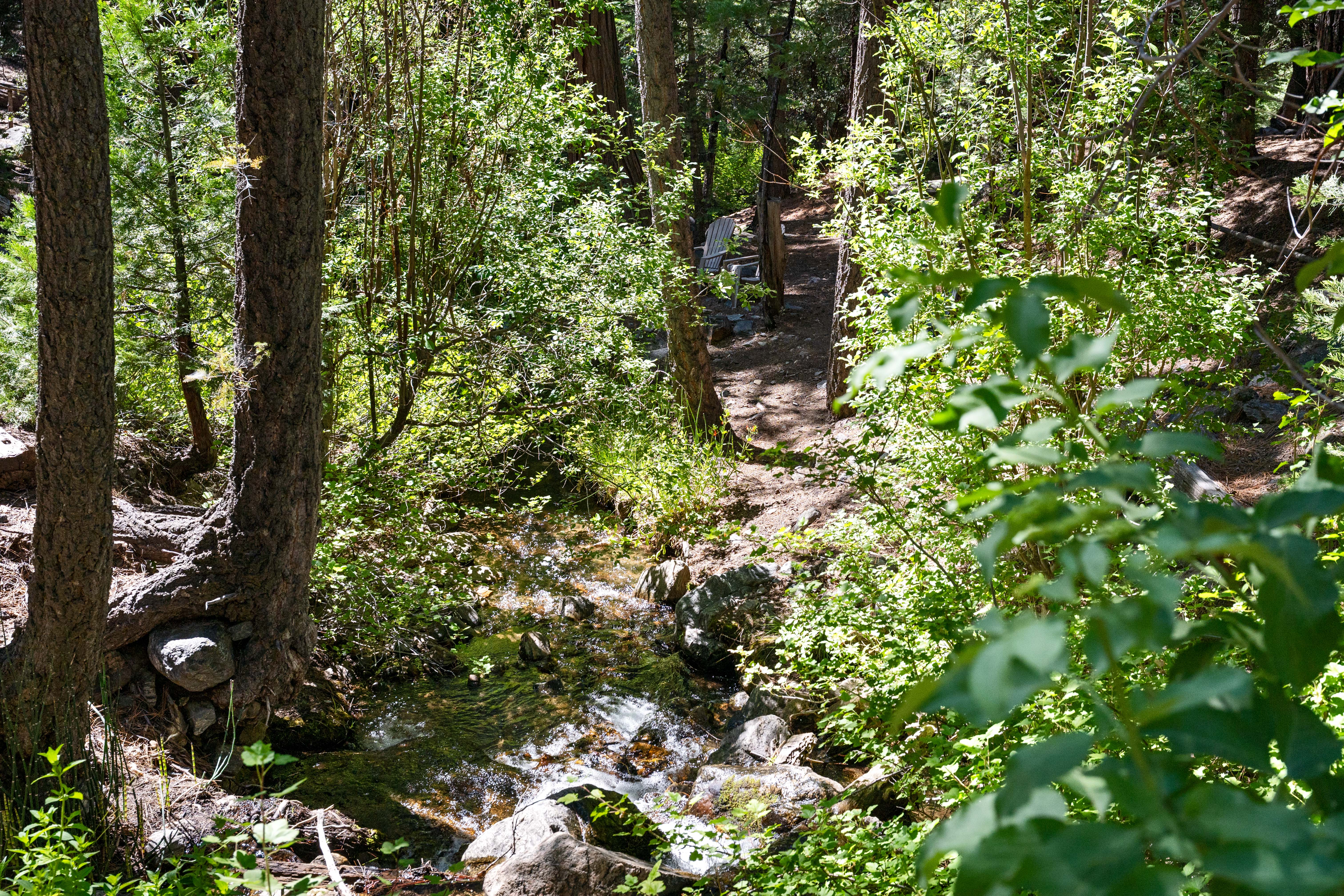  70 Barton Flats Road, Angelus Oaks, CA 92305 - 物件實景