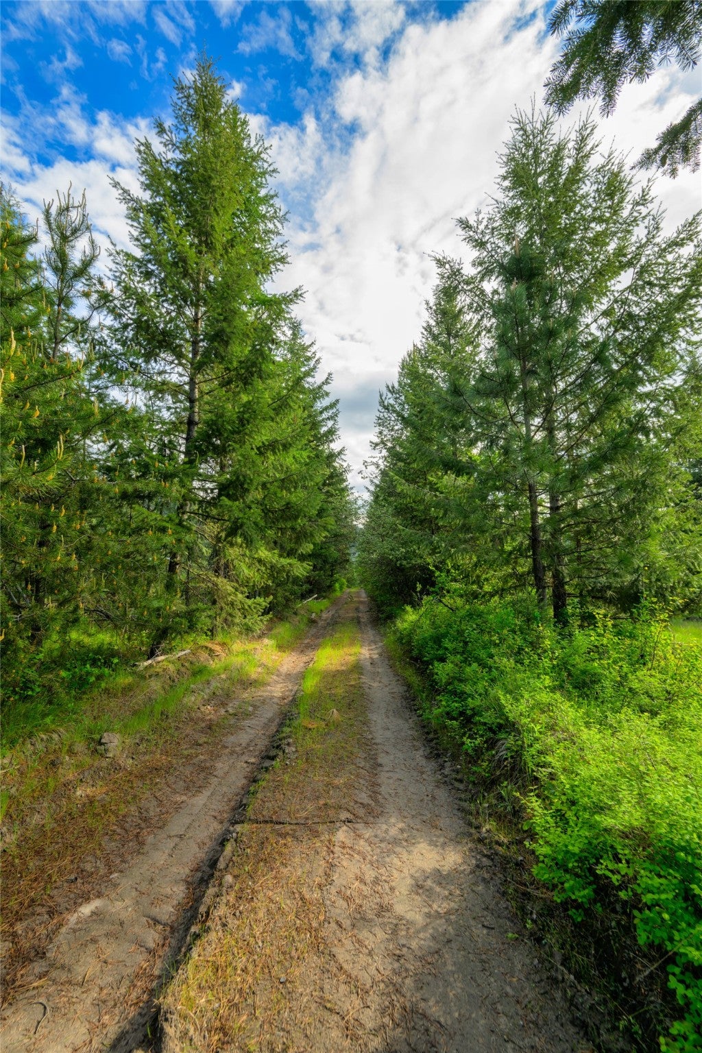 St Regis, Montana, 59866, United States, ,Land,For Sale,1848990