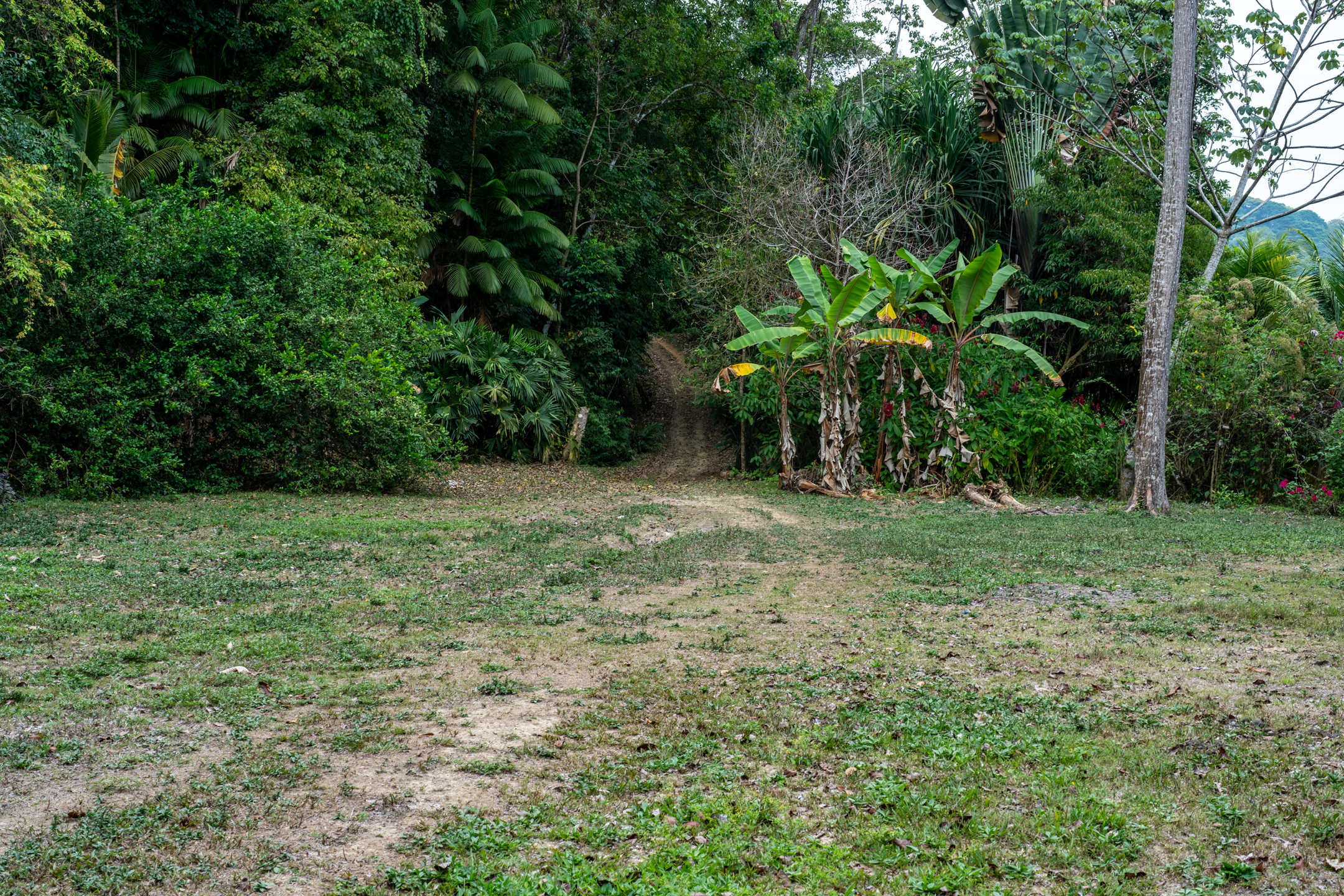 Lagunas, Dominical, Puntarenas, CR, 2 Bedrooms Bedrooms, ,1 BathroomBathrooms,Land,For Sale,Lagunas,1589118