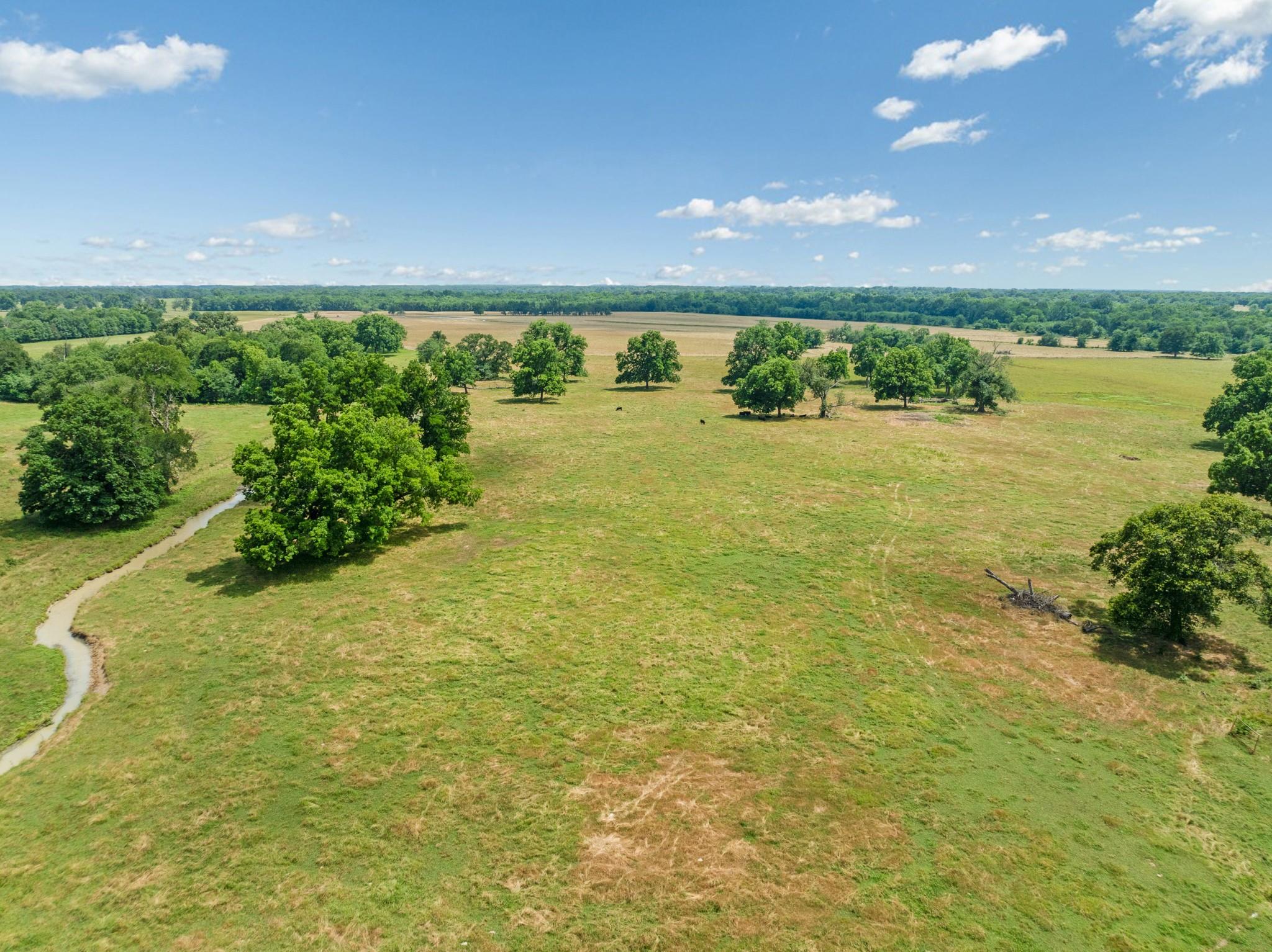 Pattonville, Texas, 75468, United States, ,Land,For Sale,1990194
