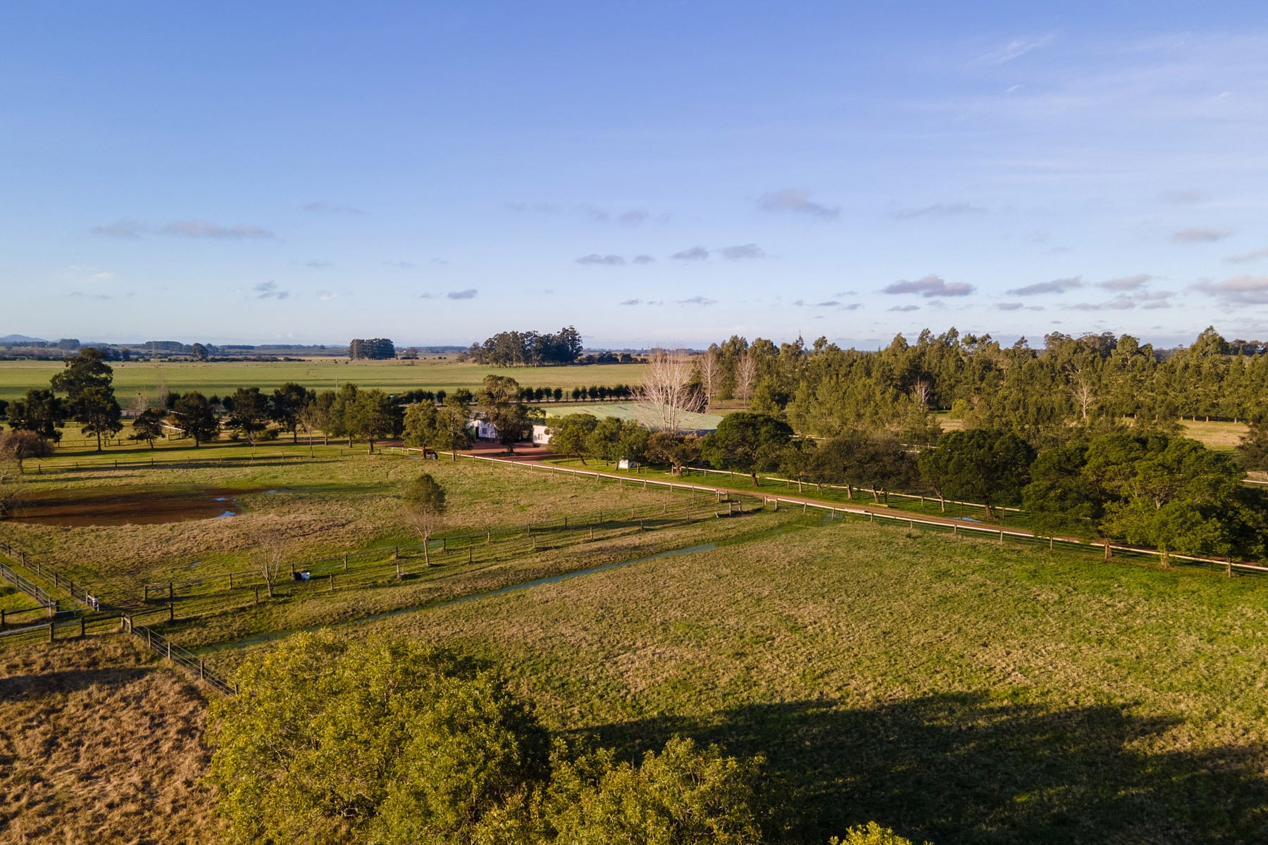  NAHUEL Stud Farm - 物件實景