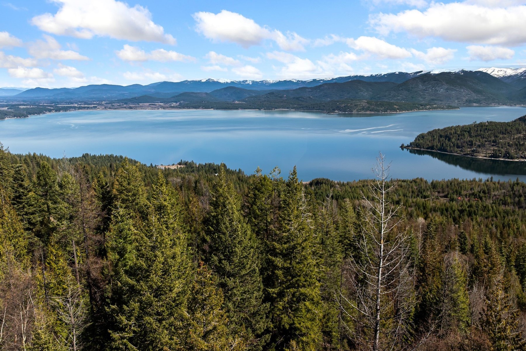  A View above it all - 物件實景