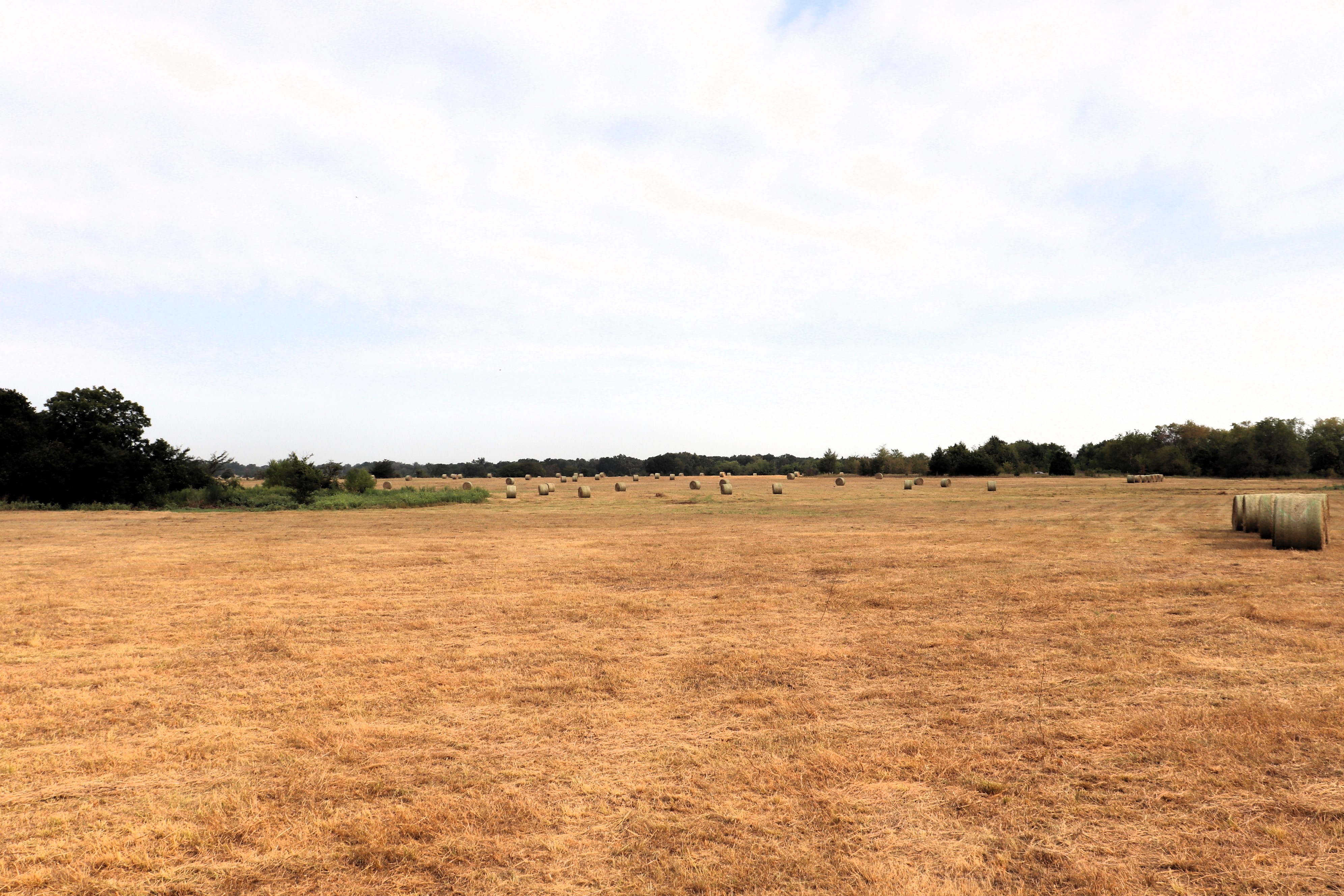 Cumby, Texas, 75433, United States, ,Land,For Sale,1987346