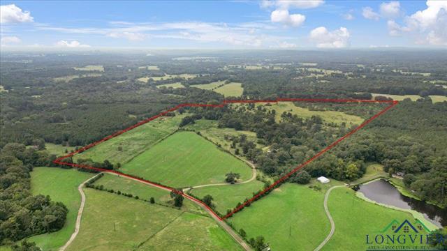 Henderson, Texas, 75654, United States, ,Land,For Sale,1951348