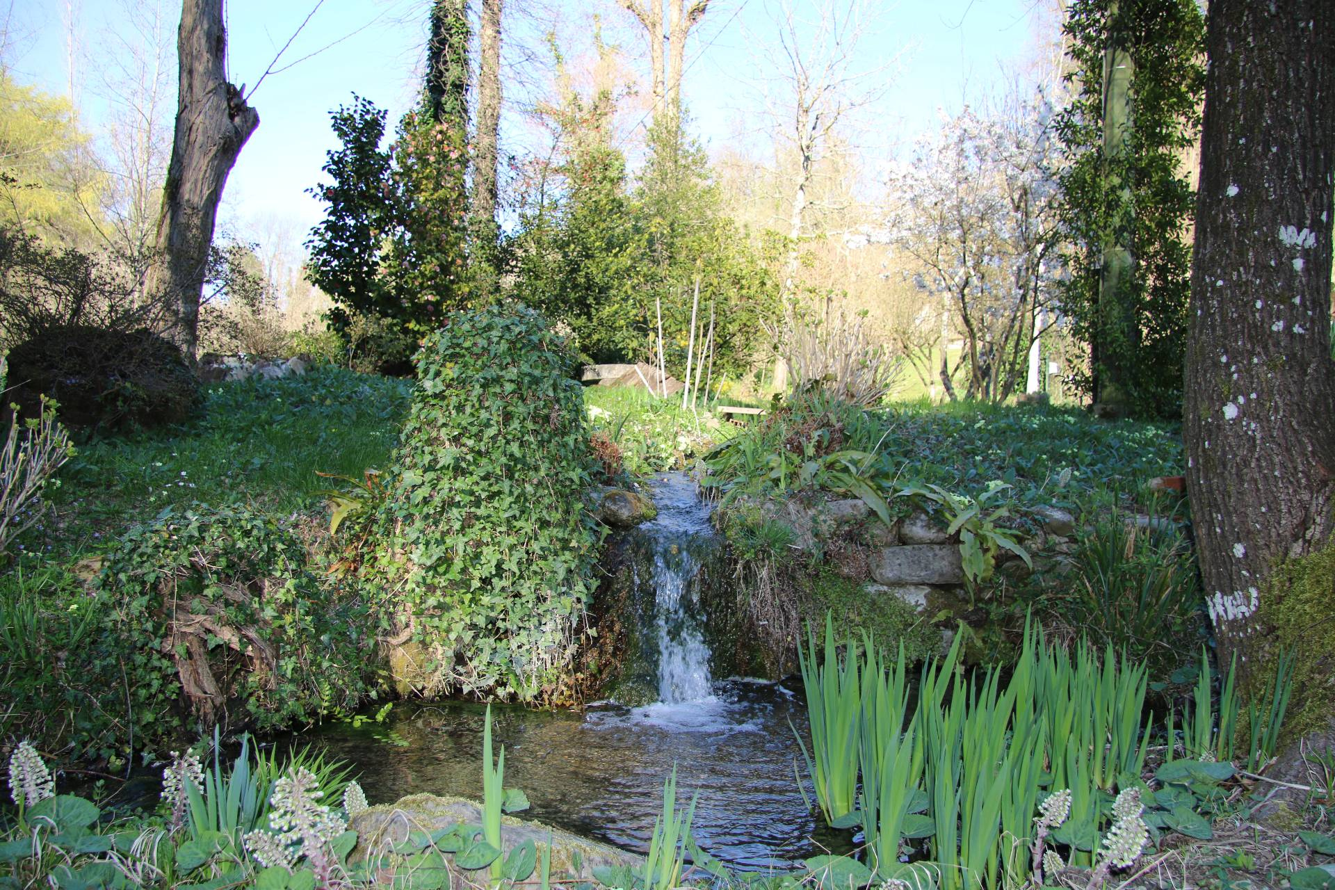 ronta campagna, Borgo San Lorenzo, Firenze, 50032, IT, 8 Bedrooms Bedrooms, ,5 BathroomsBathrooms,Residential,For Sale,ronta campagna,1441511
