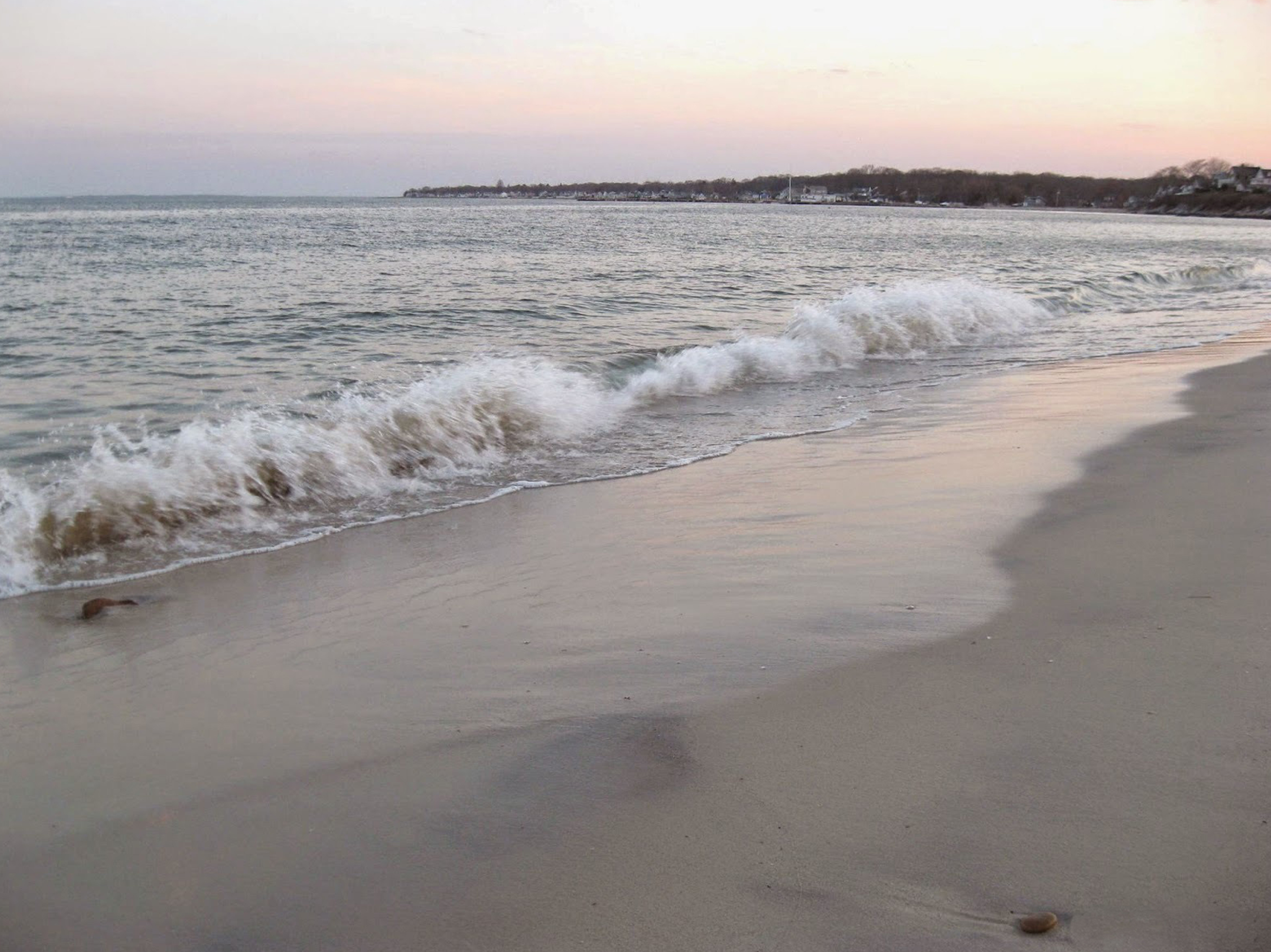  Charming 2 Bed Home on Main St - 物件實景