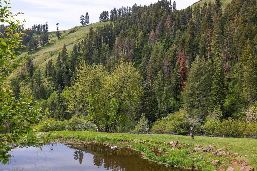 Riggins, Idaho, 83549, United States, 2 Bedrooms Bedrooms, ,1 BathroomBathrooms,Residential,For Sale,1825339