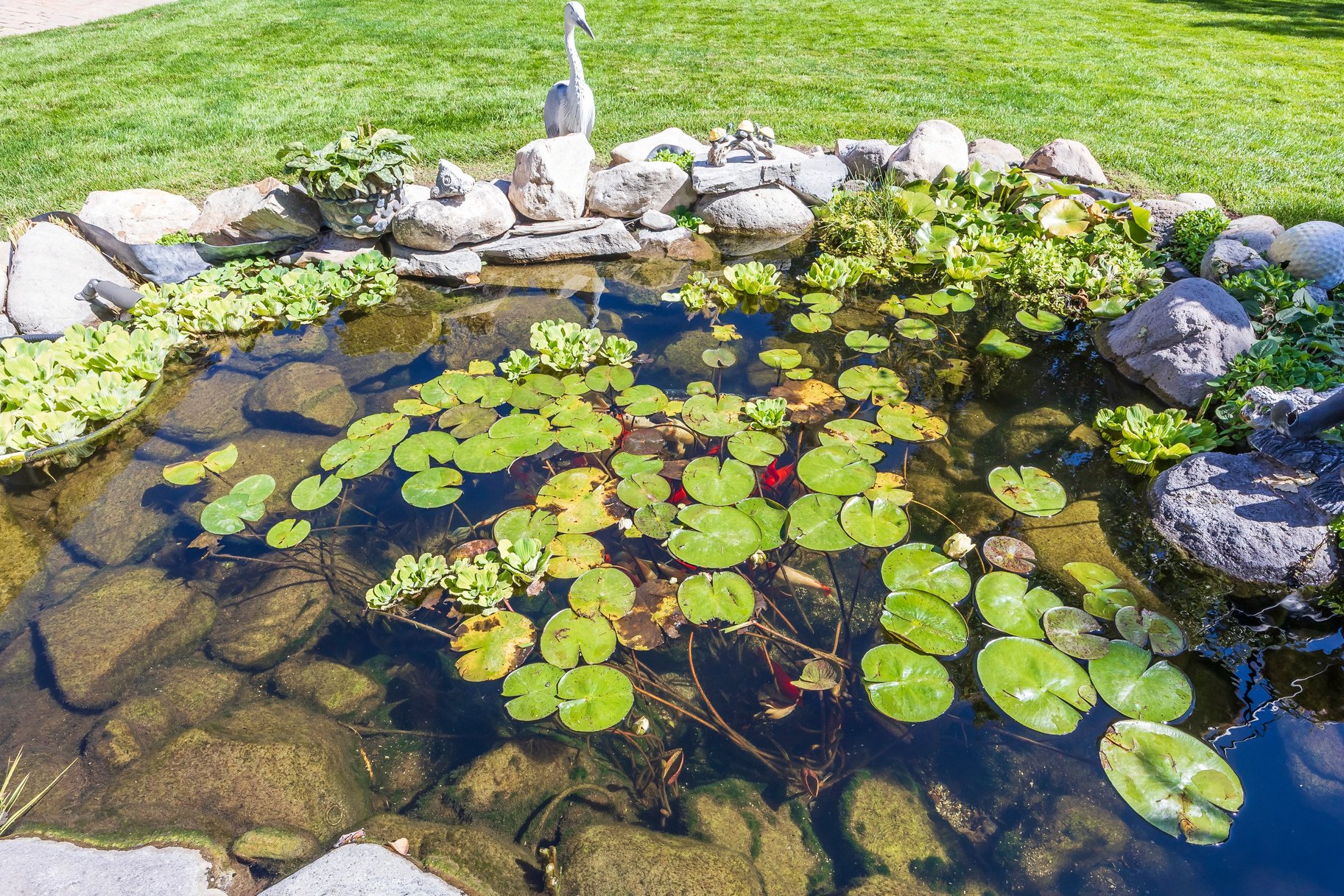  Custom South Jordan Rambler with Koi Pond, RV Parking & ADU Apartment - 物件實景