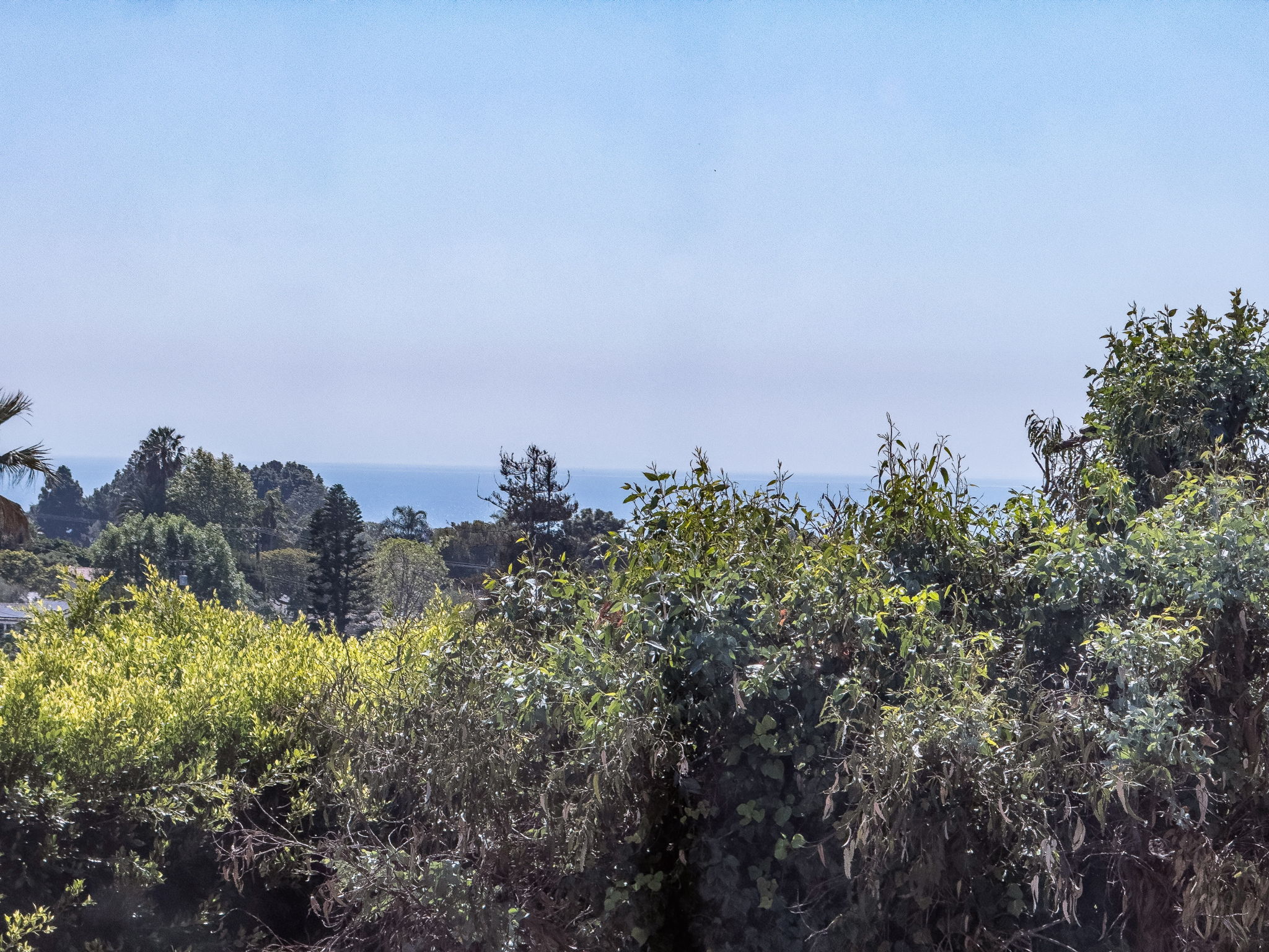  2337 Palos Verdes Drive West, Palos Verdes Estates, CA 90274 - 物件實景