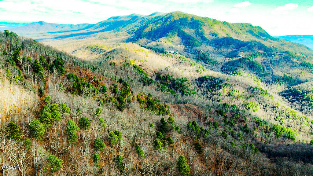 Sevierville, Tennessee, 37876, United States, ,Land,For Sale,2009102