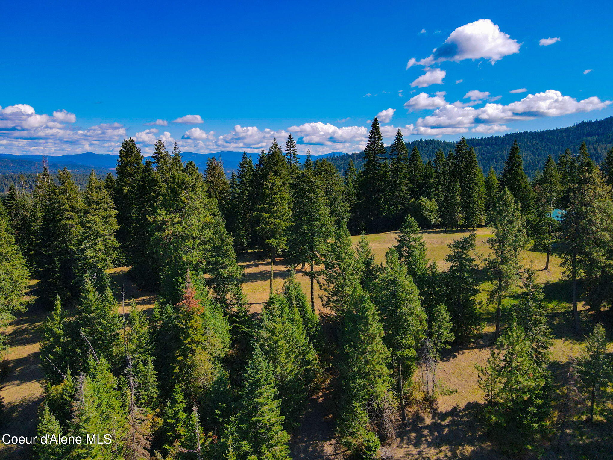 Harrison, Idaho, 83833, United States, ,1 BathroomBathrooms,Residential,For Sale,1765593