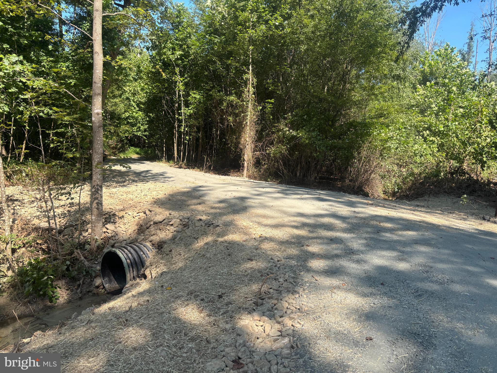 Reva, Virginia, 22735, United States, ,Residential,For Sale,1982526