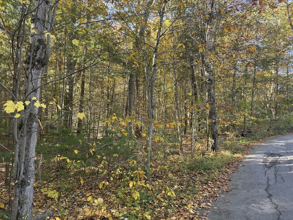 Beverly, Massachusetts, 01915, United States, ,Land,For Sale,1971614