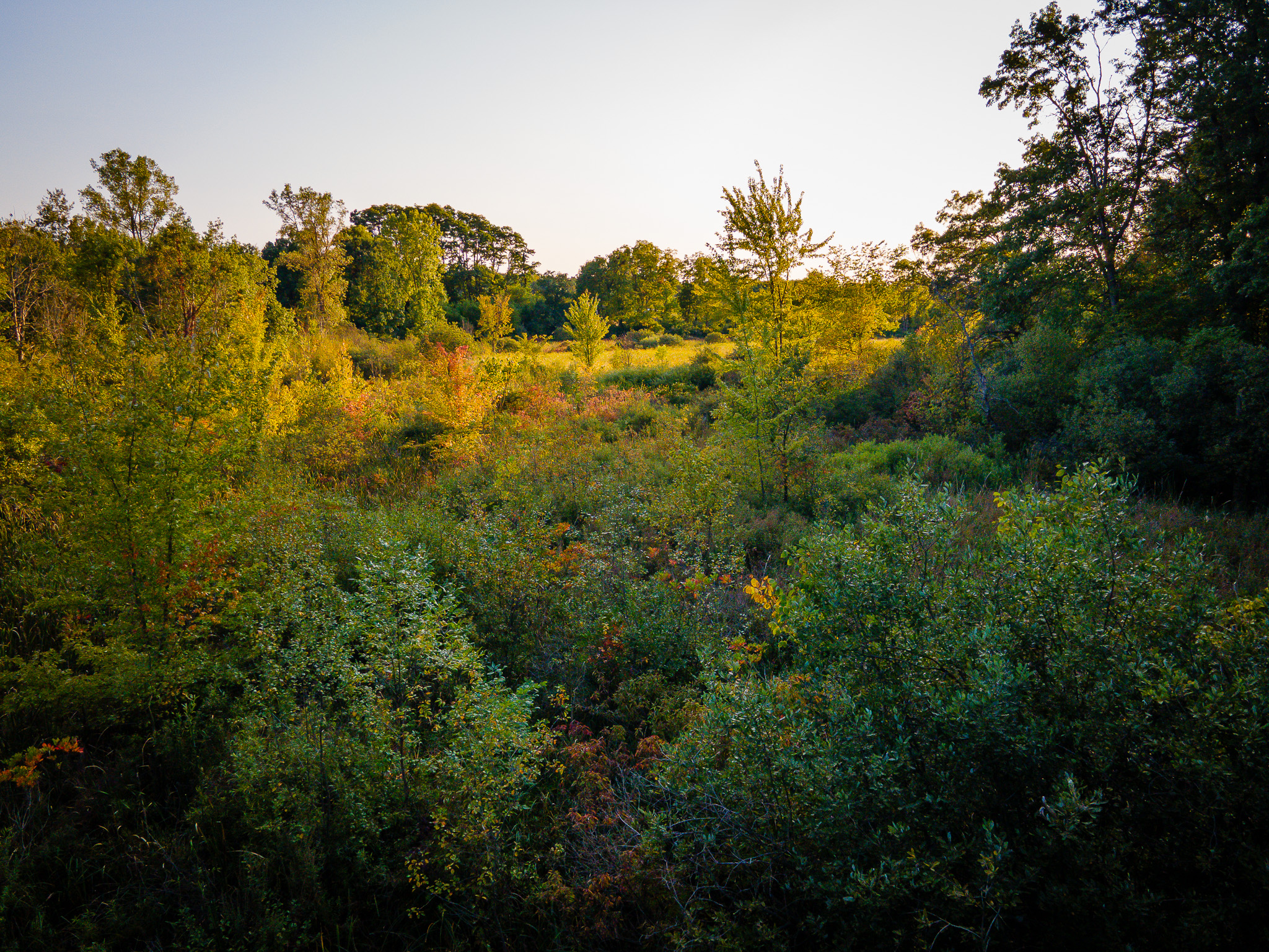 Jackson, Michigan, 49201, United States, 4 Bedrooms Bedrooms, ,2 BathroomsBathrooms,Residential,For Sale,1981022