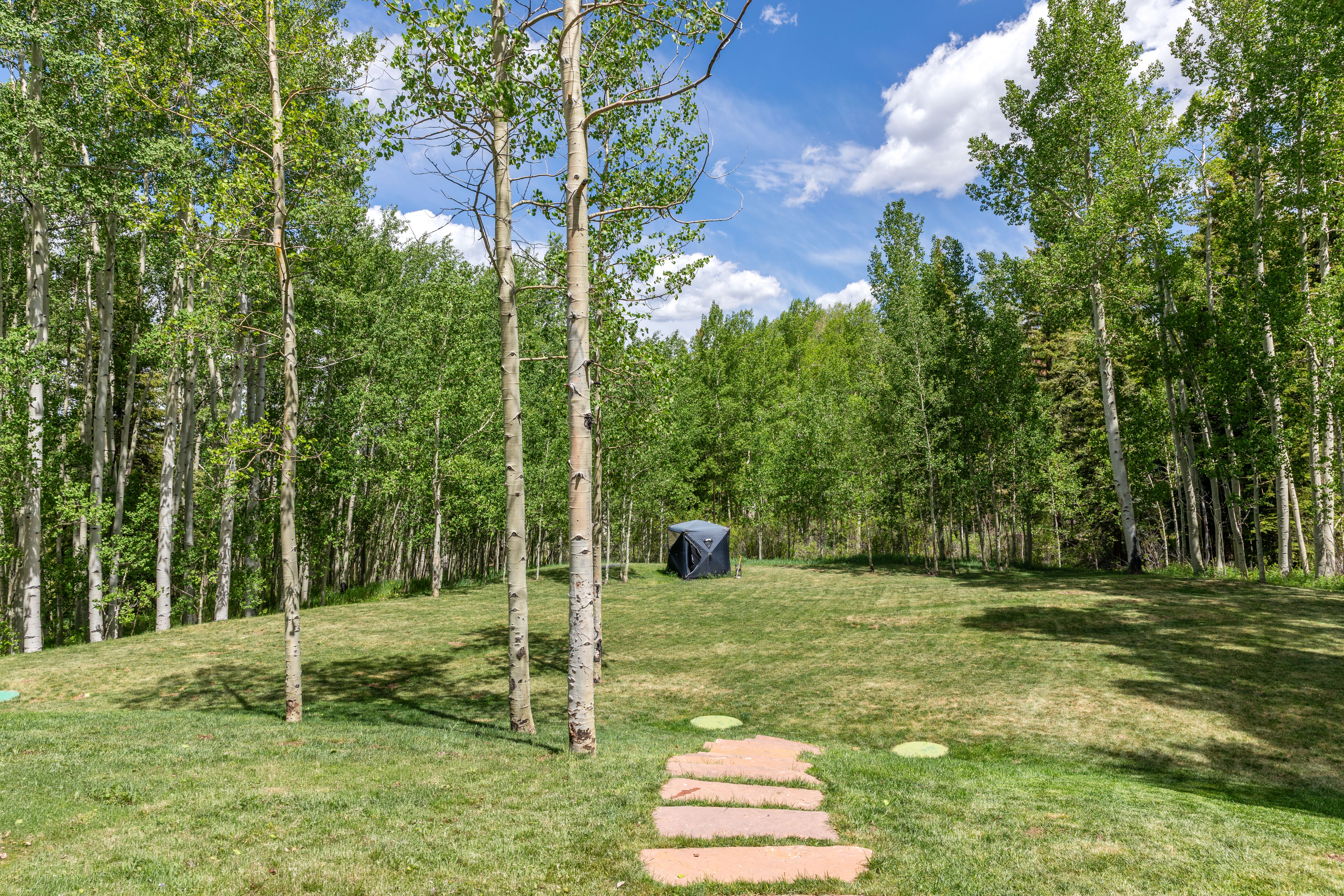 Secluded 4 Bed / 4 Bath Telluride Property - 物件實景