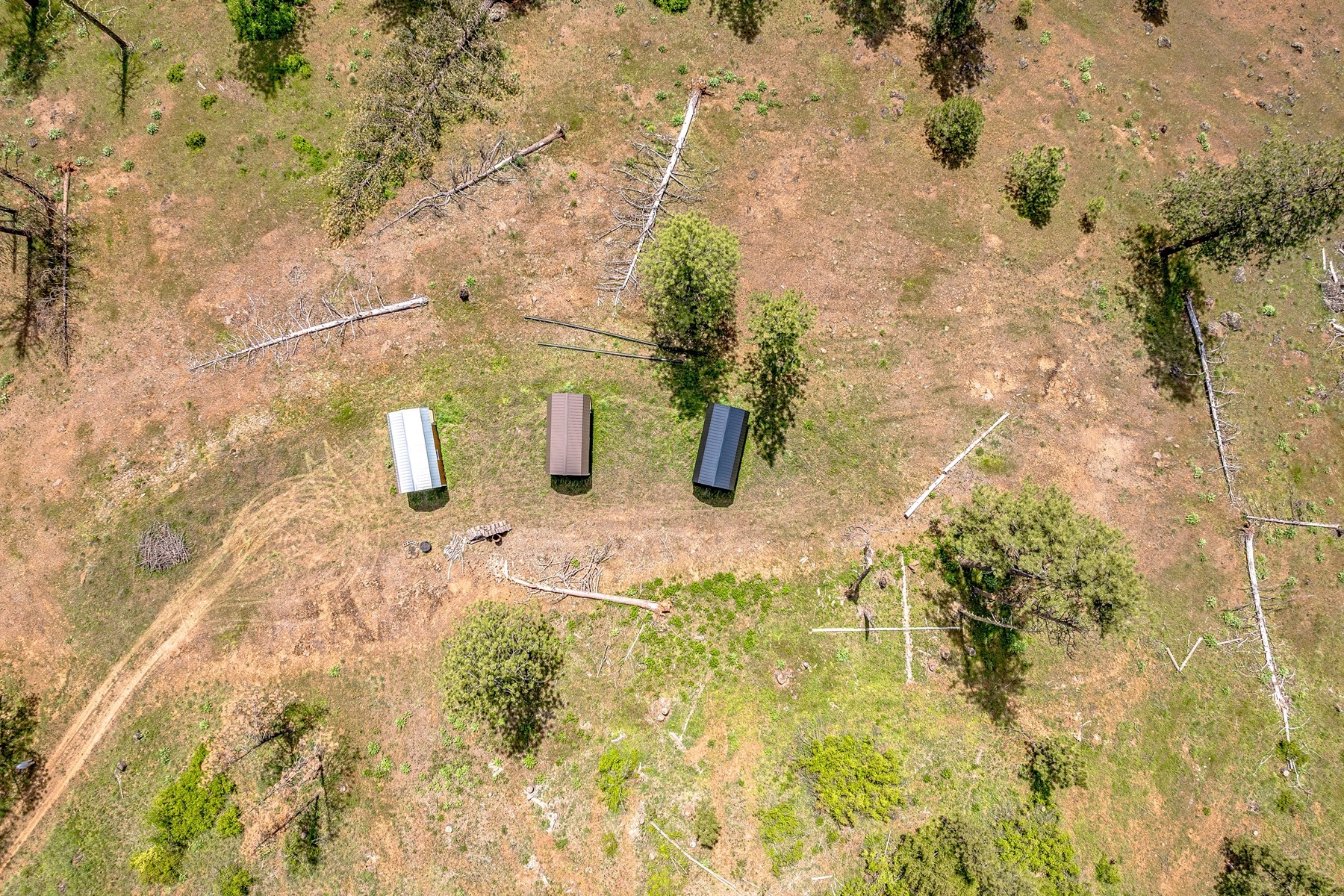  Cabins on 17ac. Surrounded by Lumber Land - 物件實景