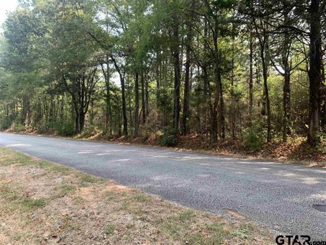 Lindale, Texas, 75771, United States, ,Land,For Sale,1982937