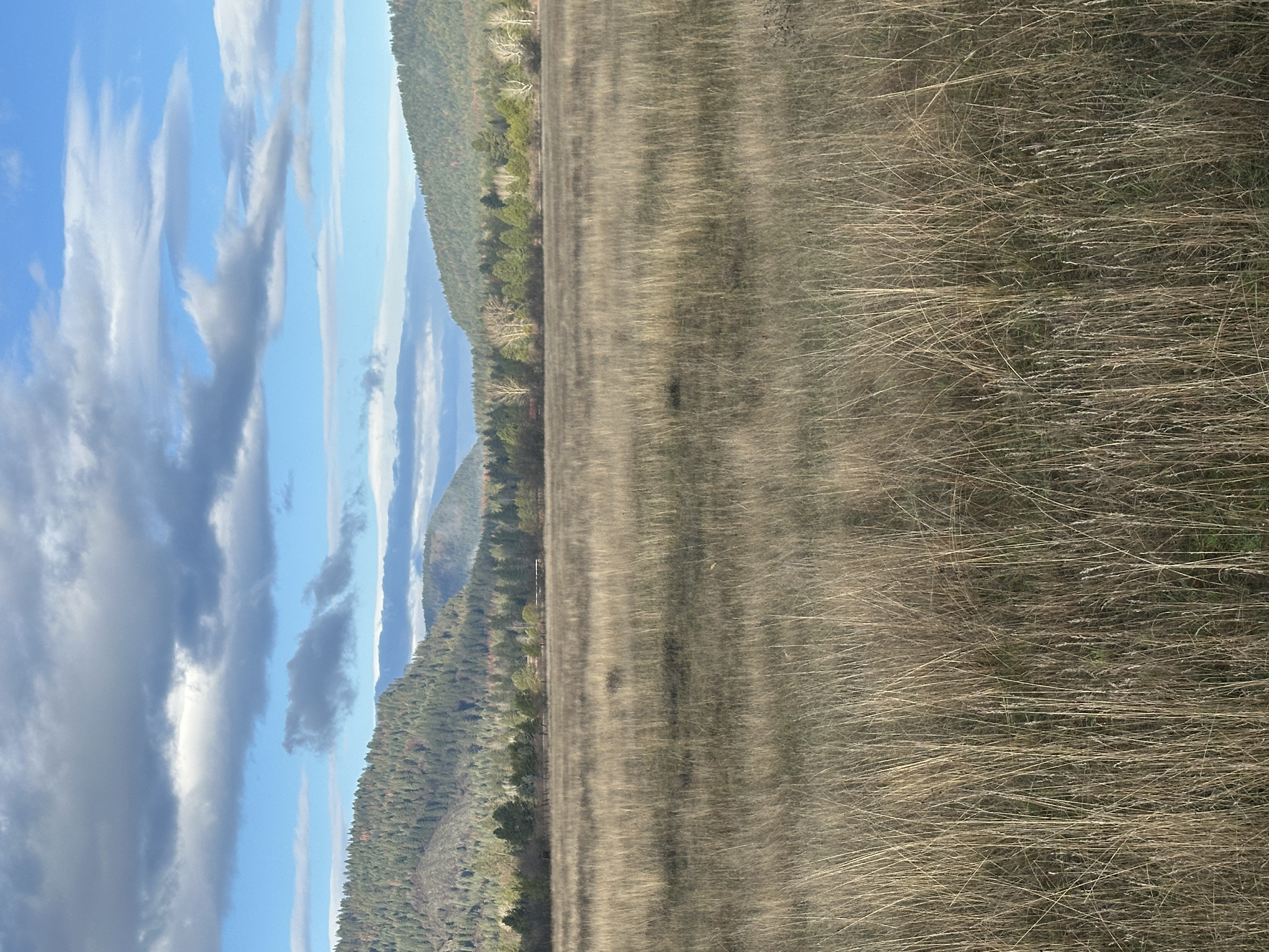 Priest River, Idaho, 83856, United States, ,Land,For Sale,2006127