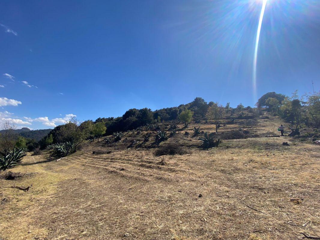 Rancho El Capulin, Mineral del Monte, Hidalgo, 42130, Mexico, 1 Bedroom Bedrooms, ,Residential,For Sale,Rancho El Capulin,1614100