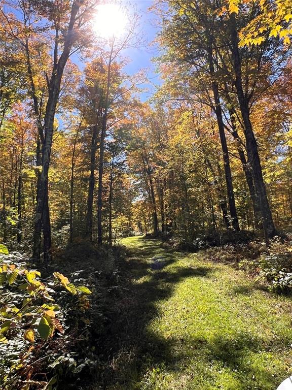 Hayward, Wisconsin, 54843, United States, ,Land,For Sale,1983896