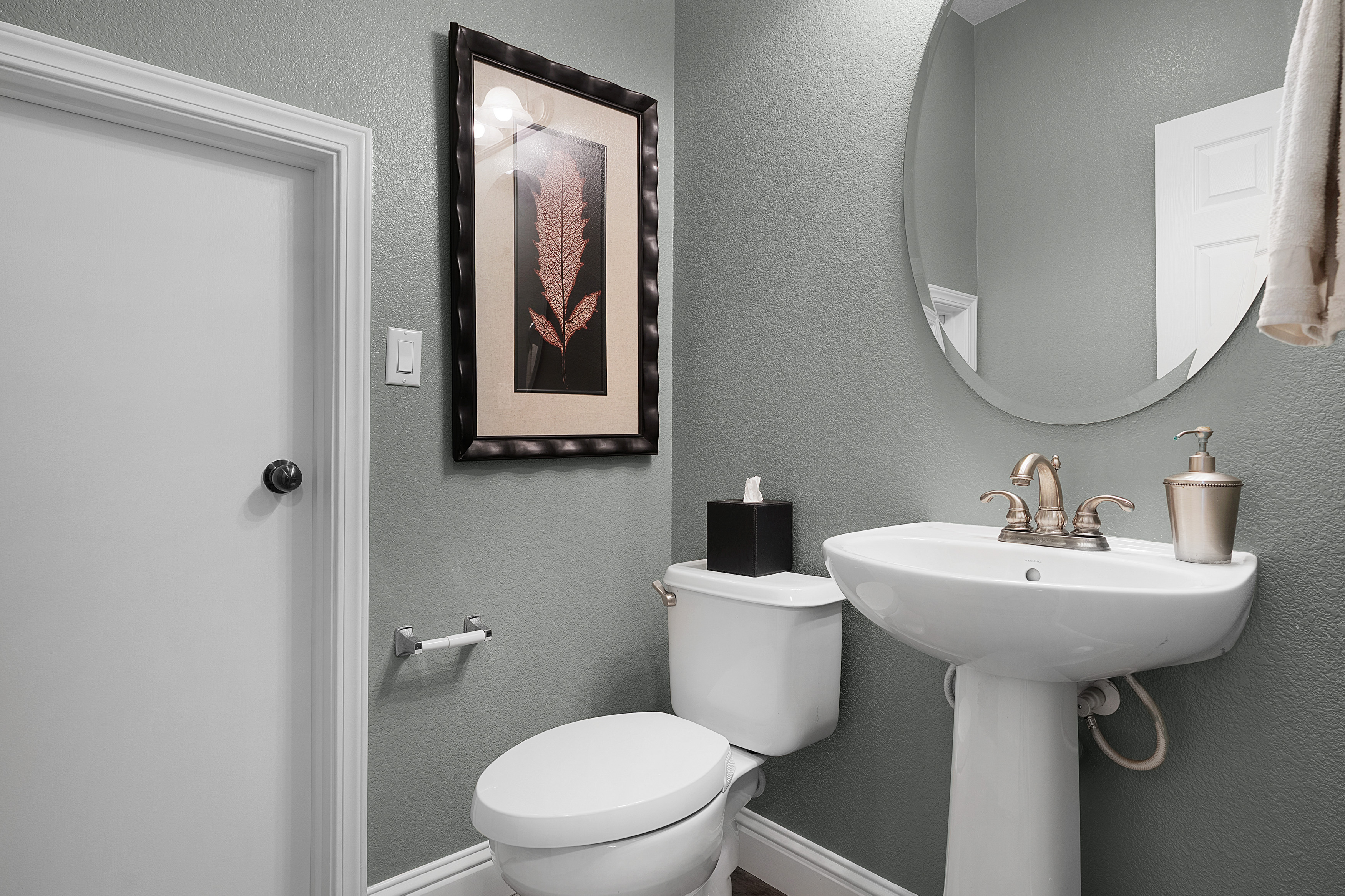  1529 Black Bear Street, Roseville, CA 95747 - 物件實景