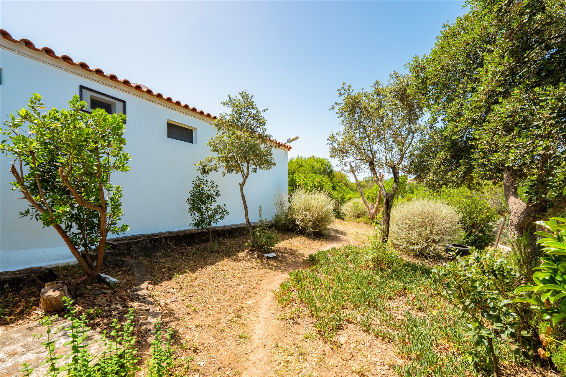  Farm, 4 bedrooms, for Sale - 物件實景