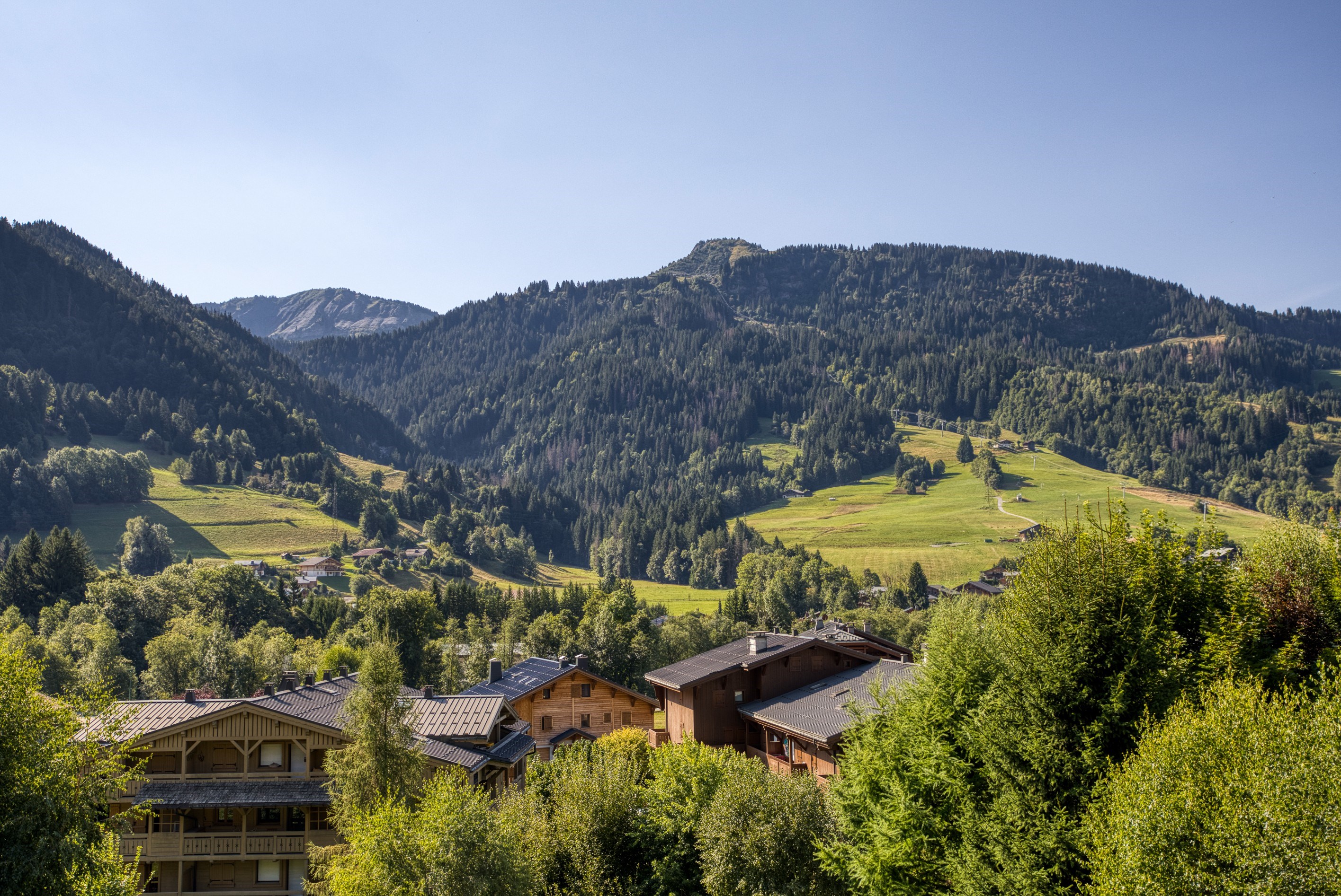  Apartment Bohem - Ideally located in the heart of the village of Praz-sur-Arly - 物件實景