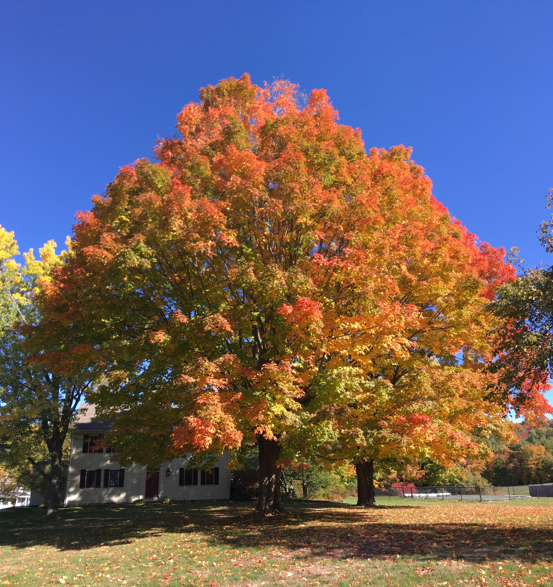  5 Old Manchester Road - 物件實景